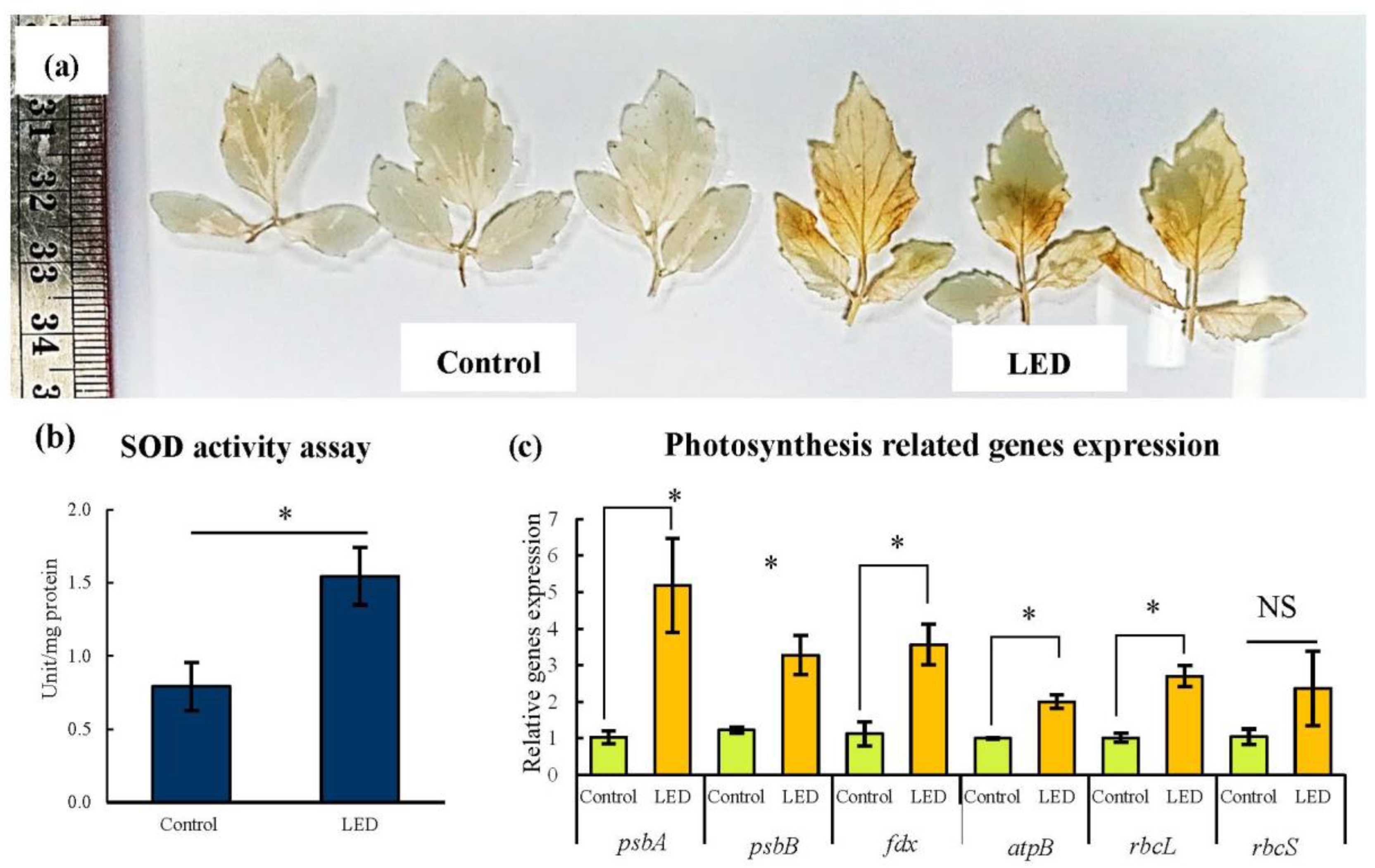 Agronomy 12 02458 g004
