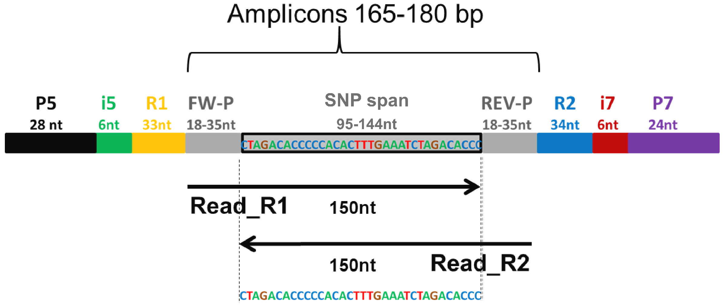 Agronomy 12 02461 g002