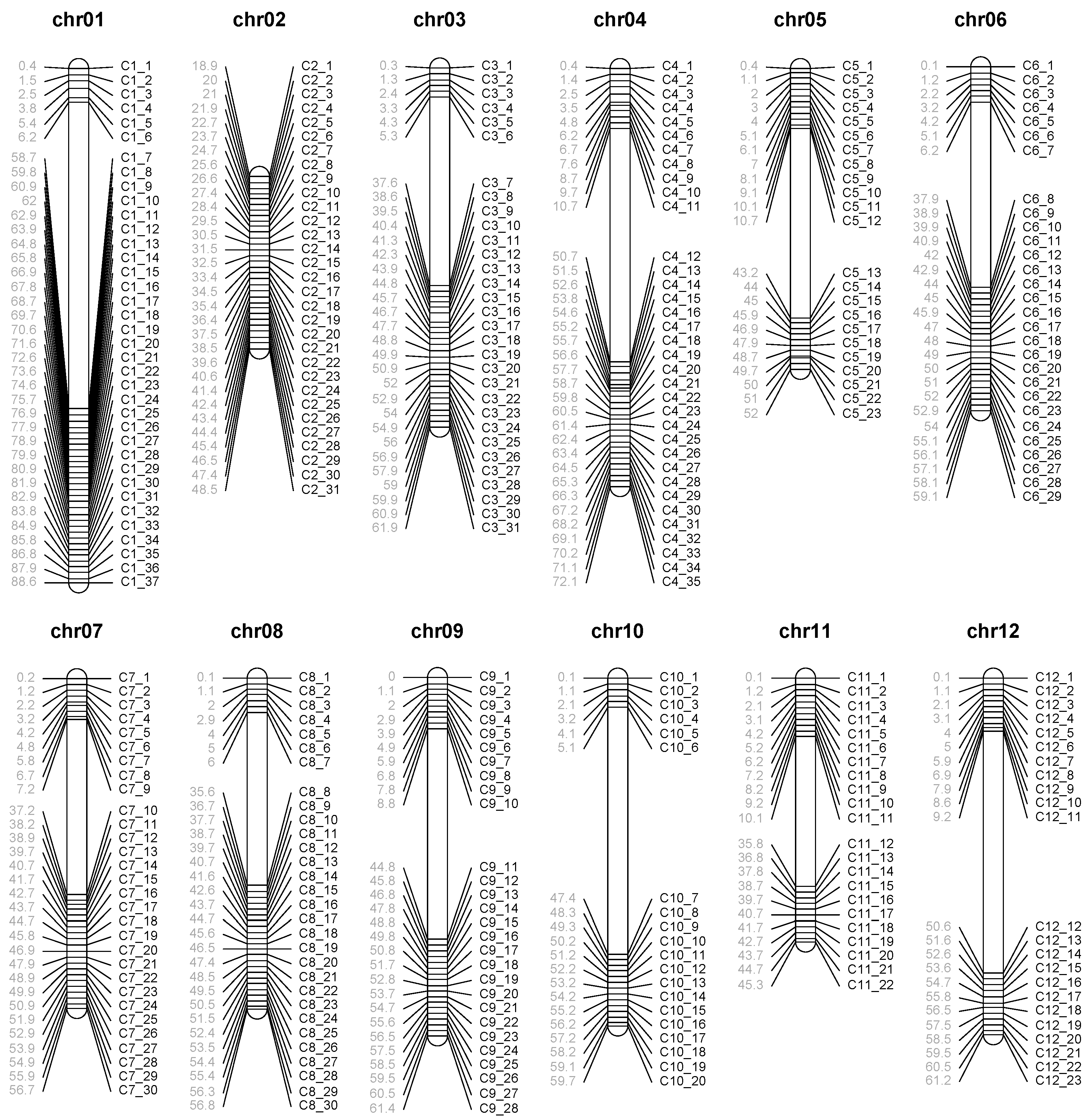 Agronomy 12 02461 g004