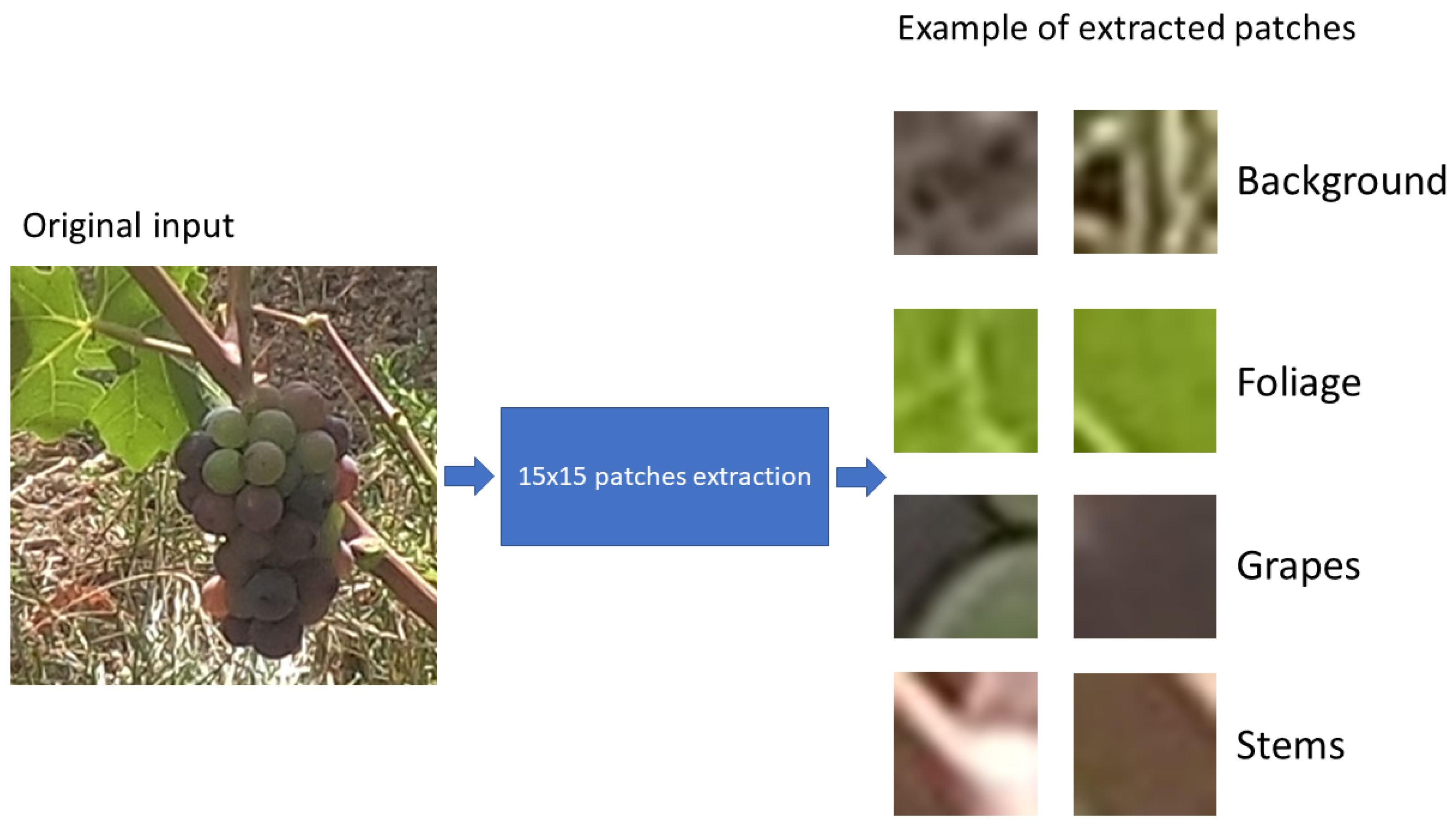 Agronomy 12 02463 g006