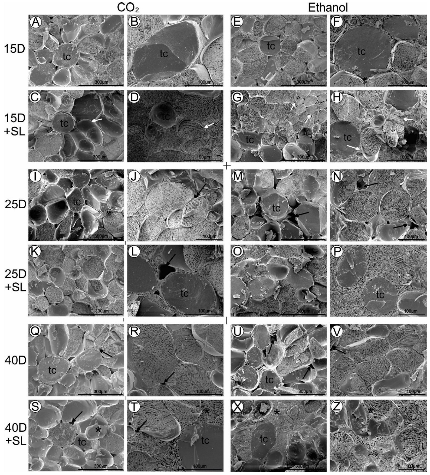 Agronomy 12 02464 g004