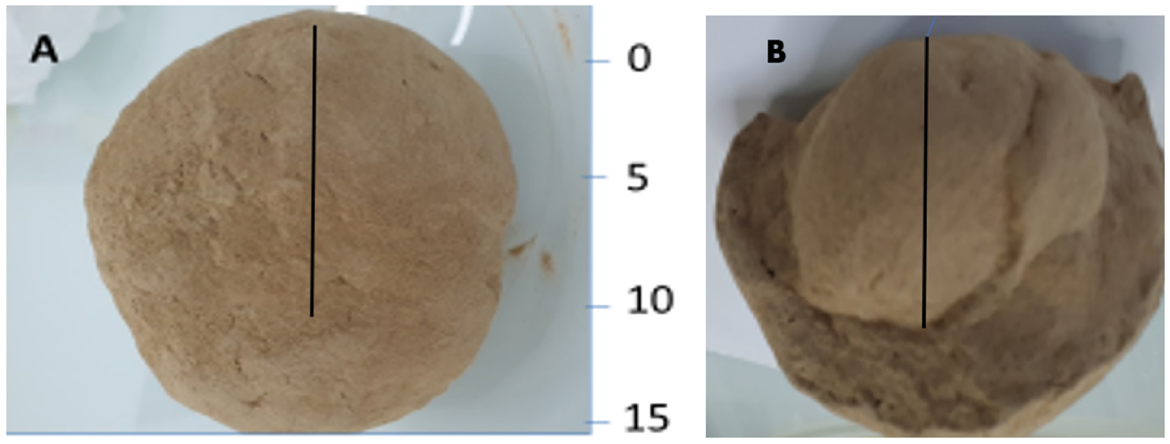 Agronomy 12 02469 g005 Agronomy 12 02469 g005