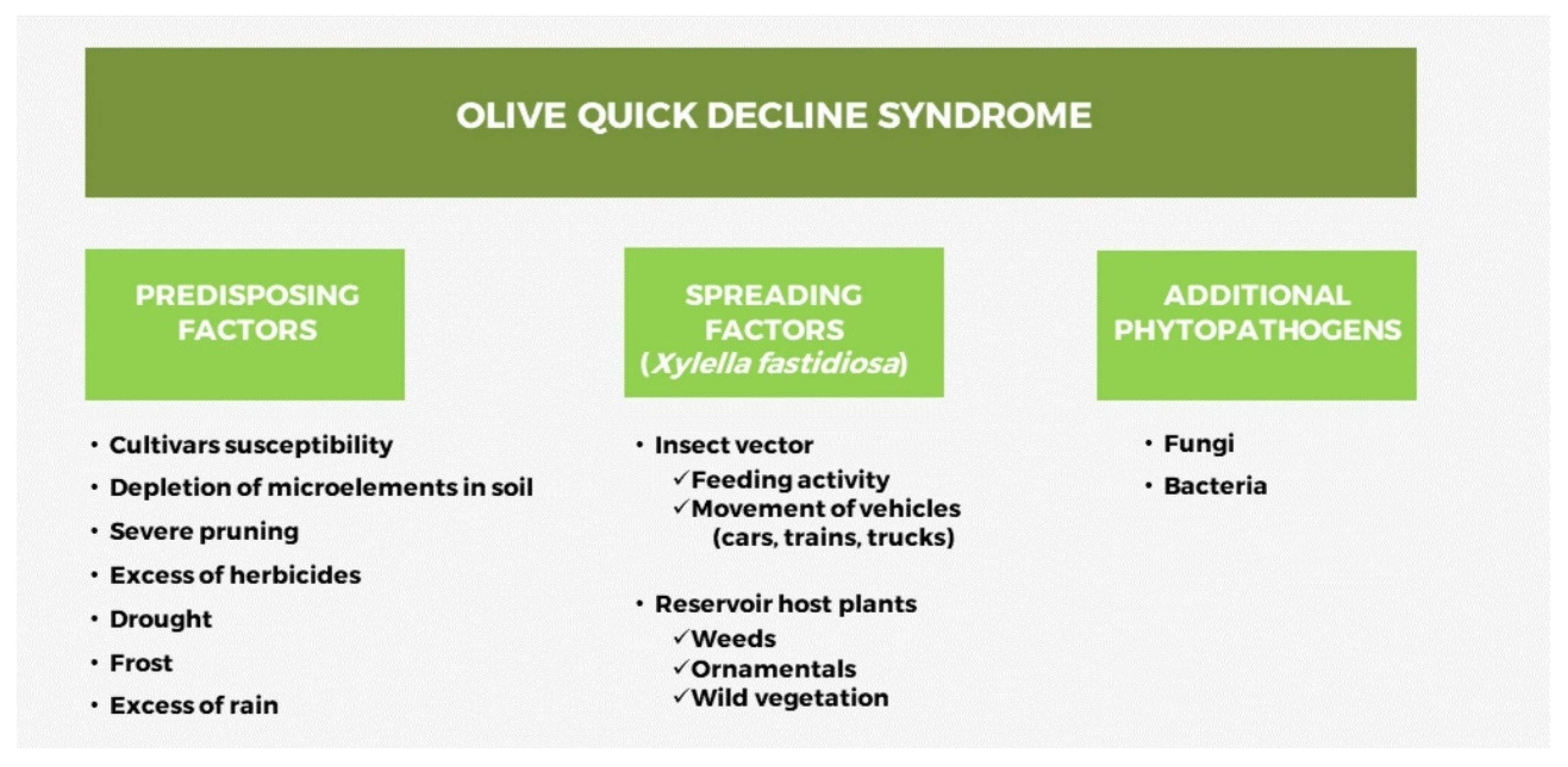 Agronomy 12 02475 g003 Agronomy 12 02475 g003