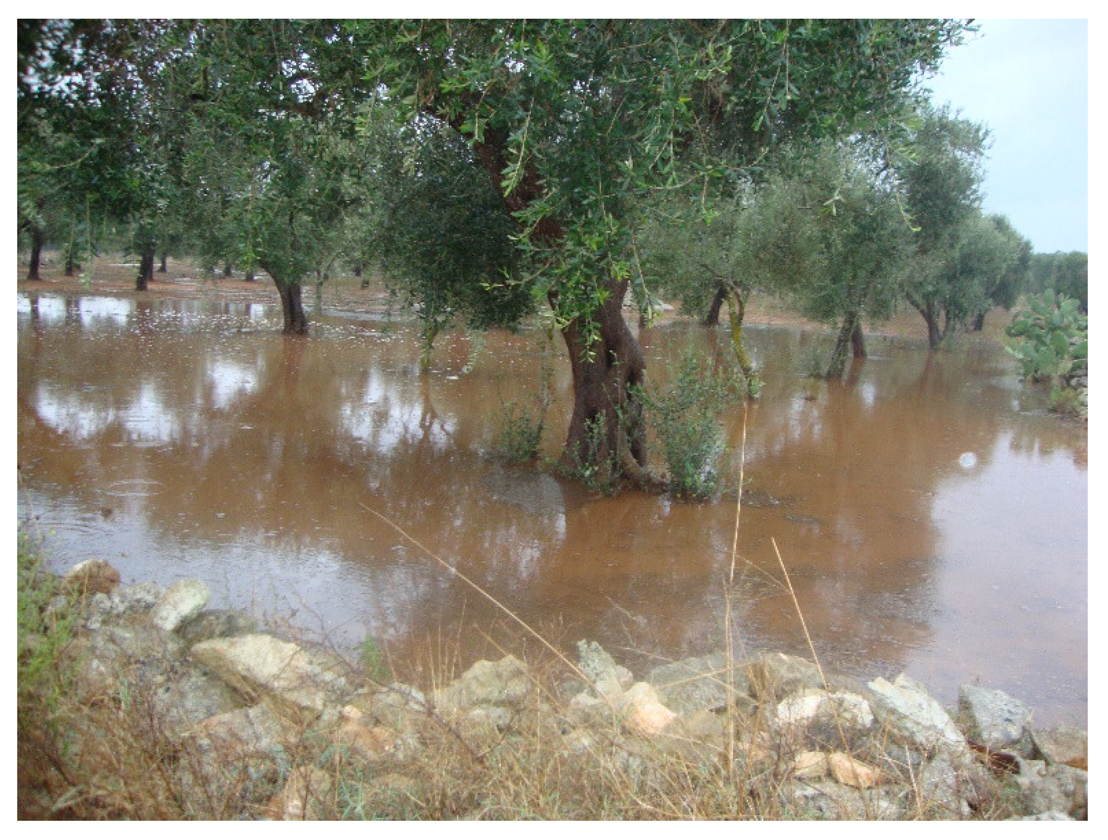 Agronomy 12 02475 g005 Agronomy 12 02475 g005