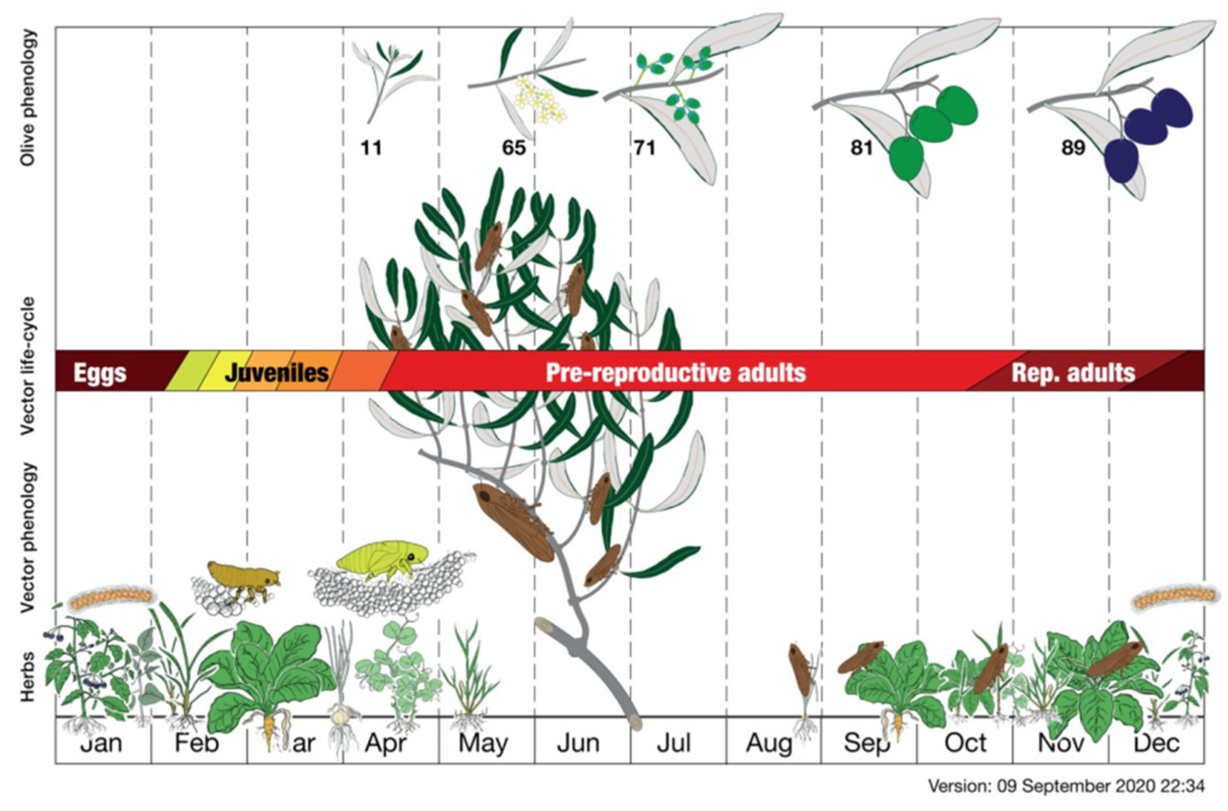 Agronomy 12 02475 g007 Agronomy 12 02475 g007