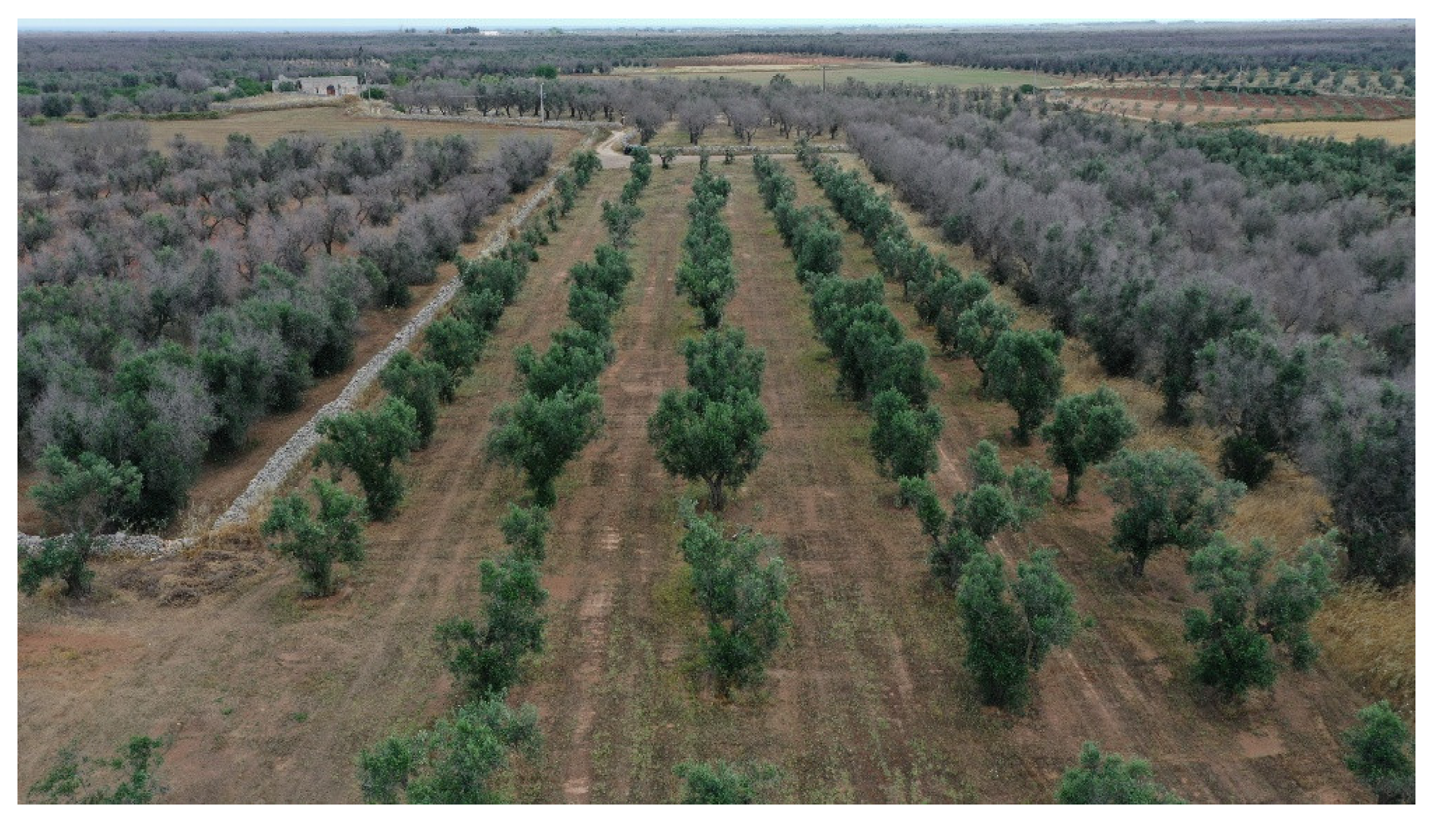 Agronomy 12 02475 g014 Agronomy 12 02475 g014