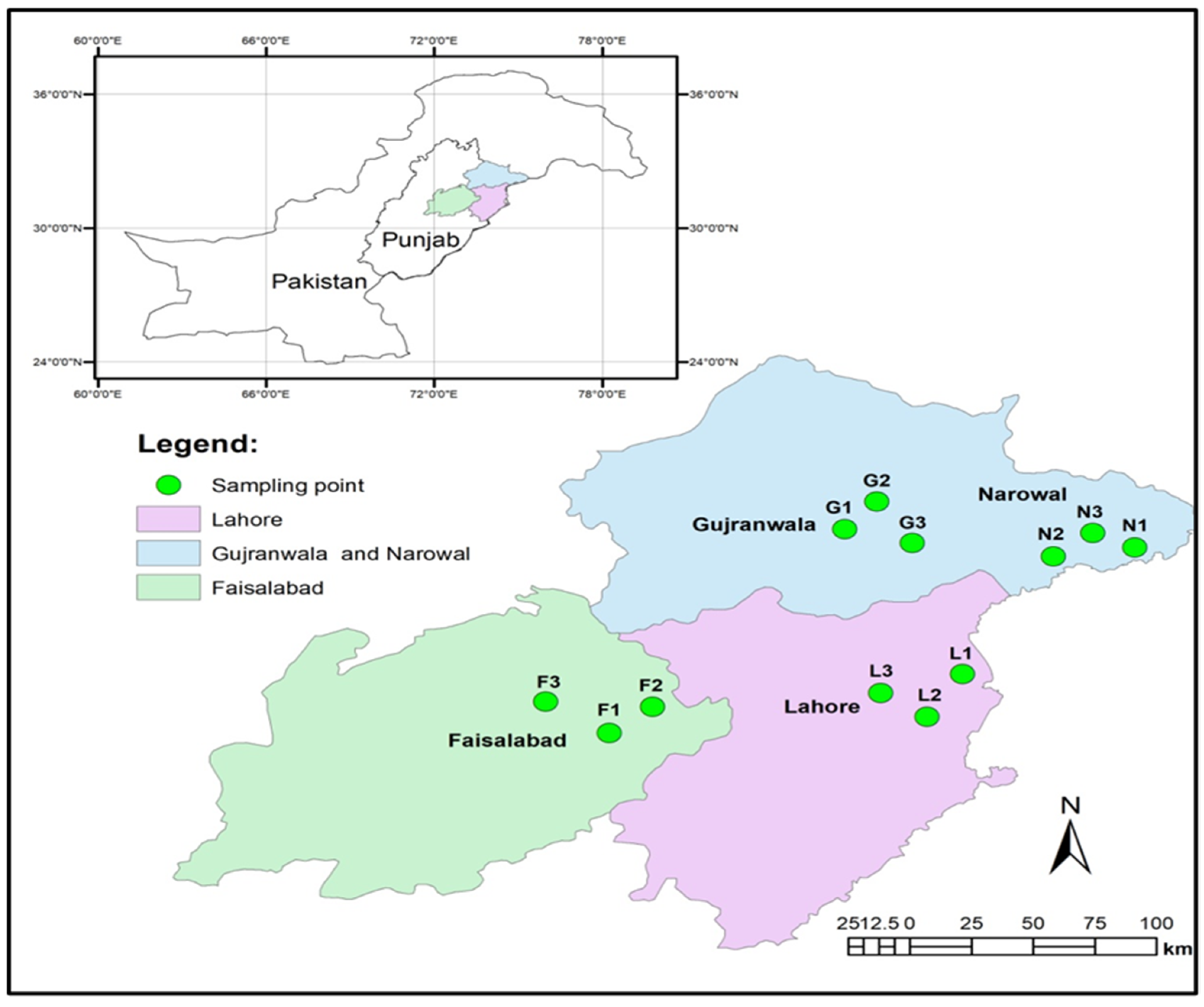 Agronomy 12 02480 g001