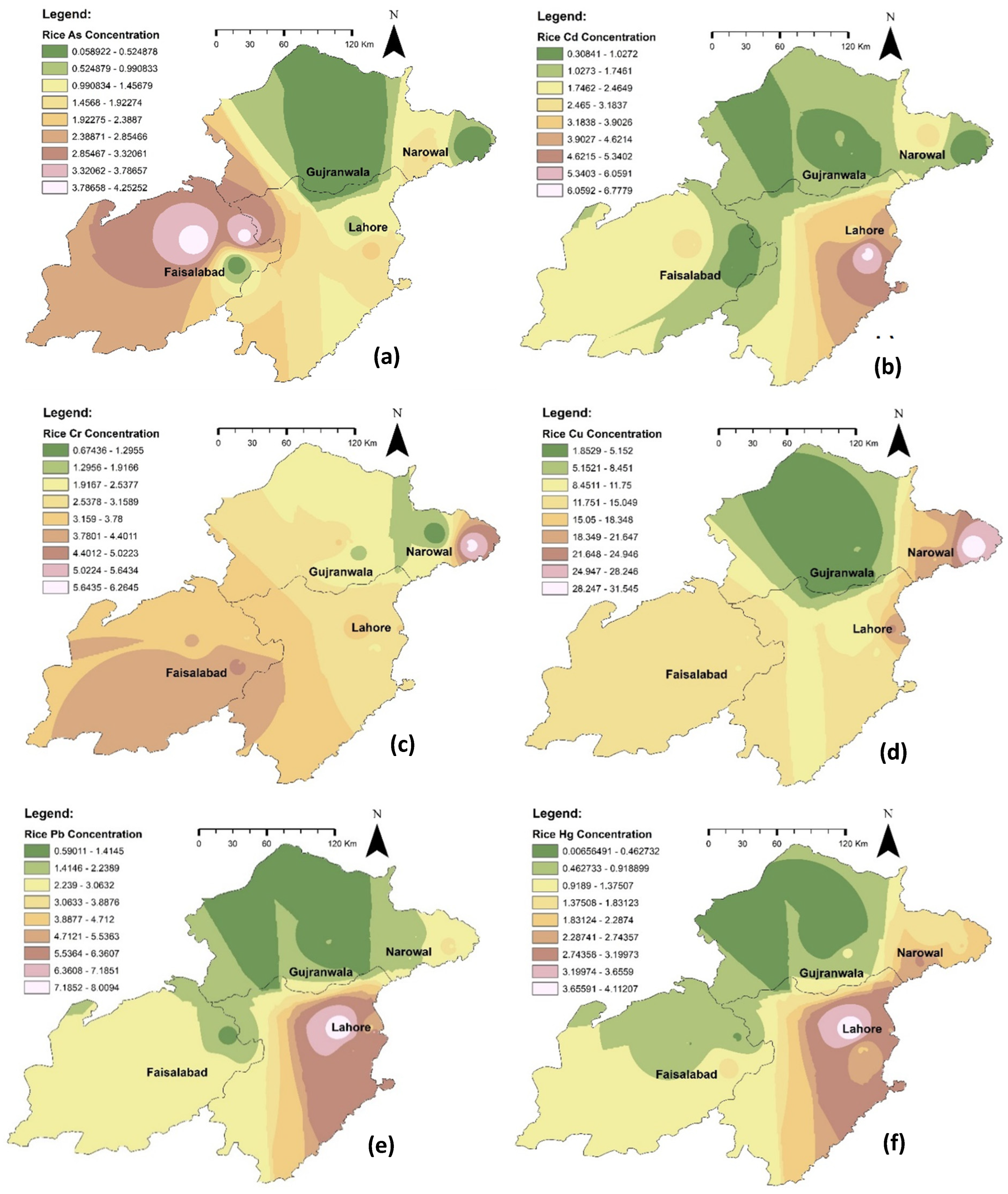 Agronomy 12 02480 g005