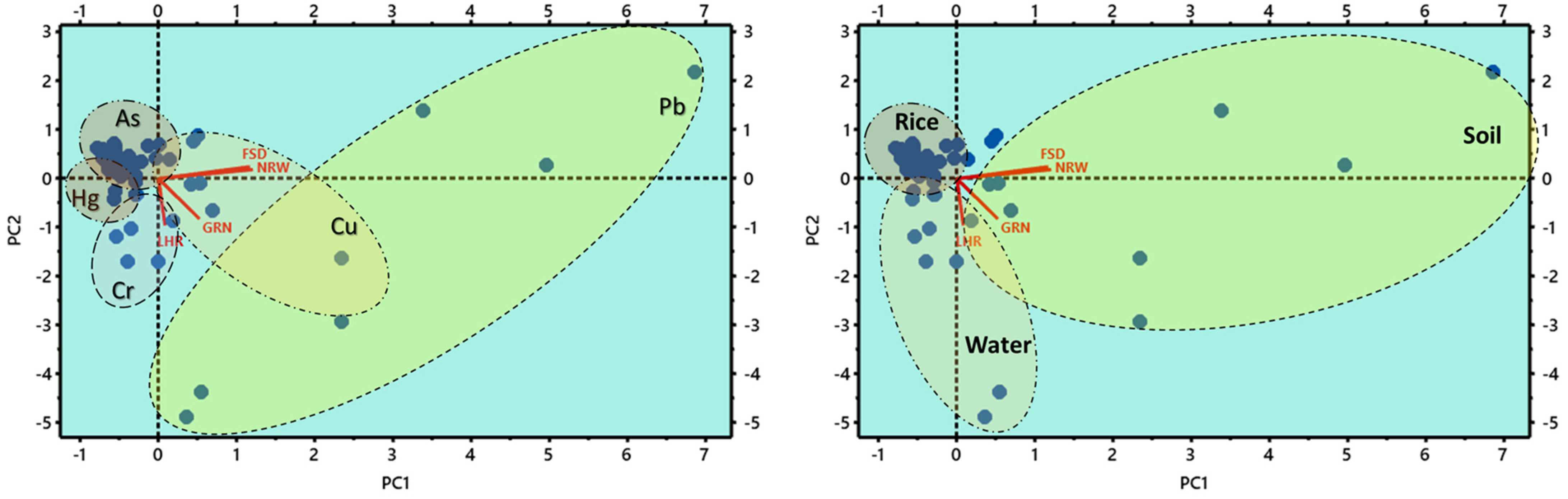 Agronomy 12 02480 g006