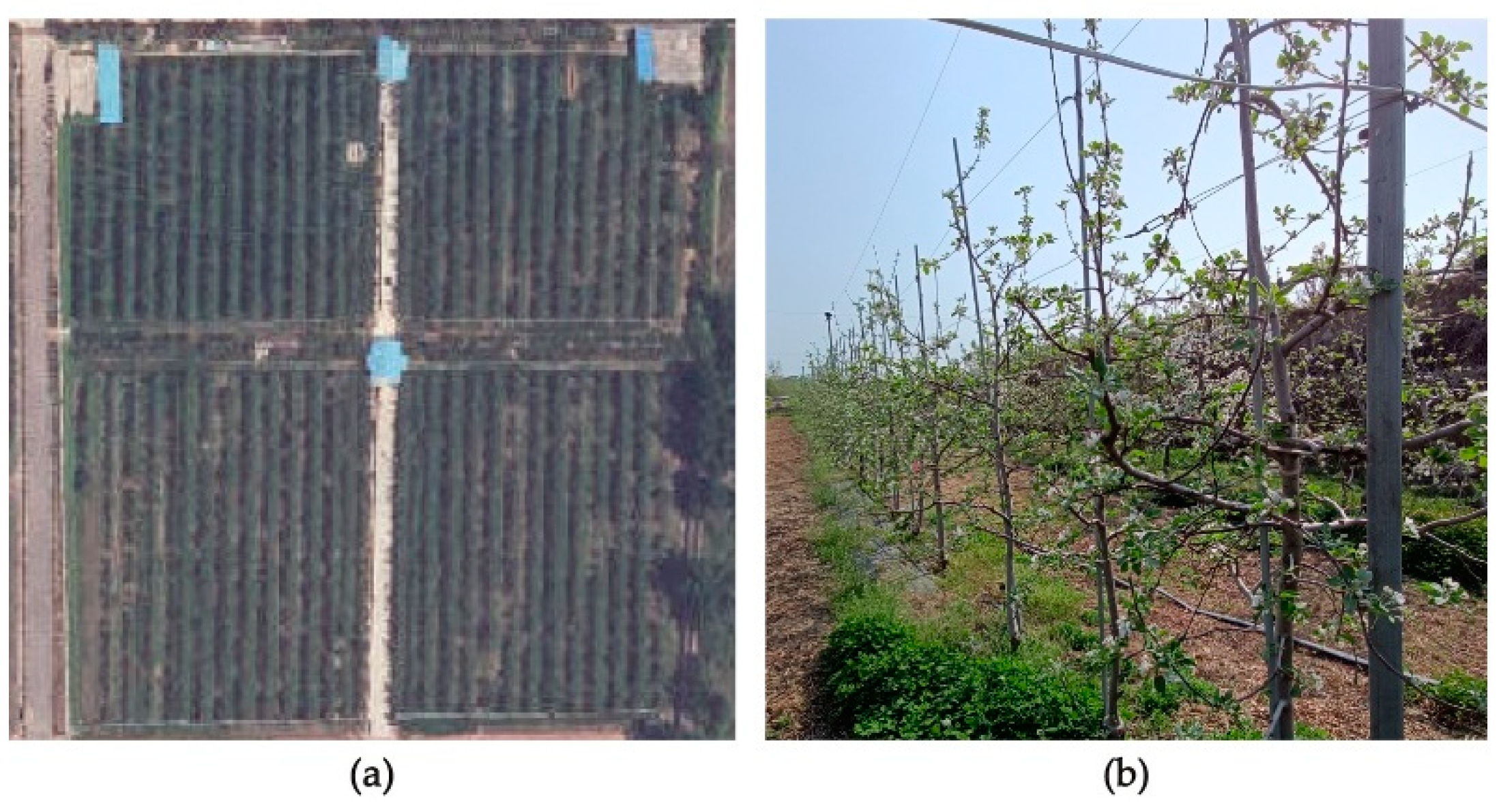 Agronomy 12 02483 g002 Agronomy 12 02483 g002