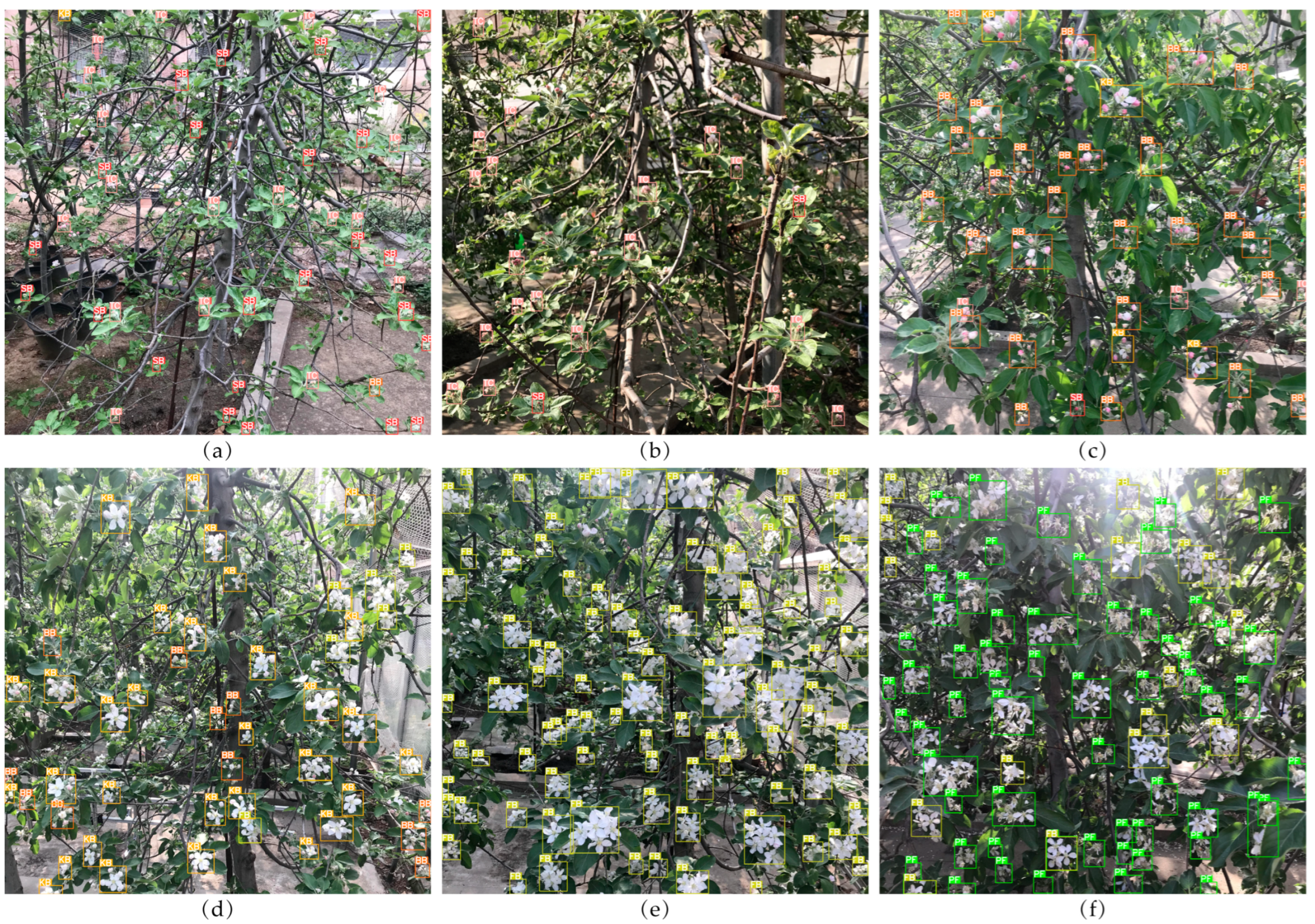 Agronomy 12 02483 g010 Agronomy 12 02483 g010