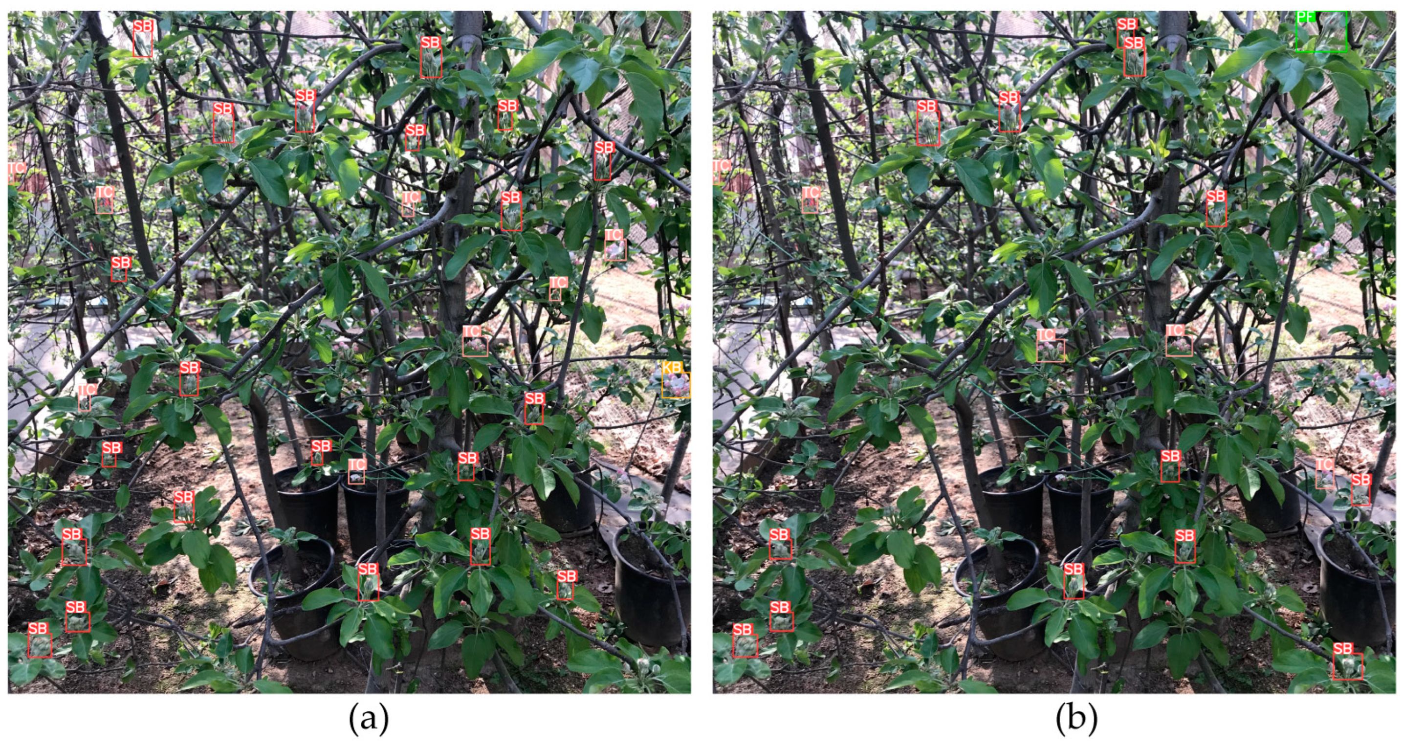 Agronomy 12 02483 g014 Agronomy 12 02483 g014