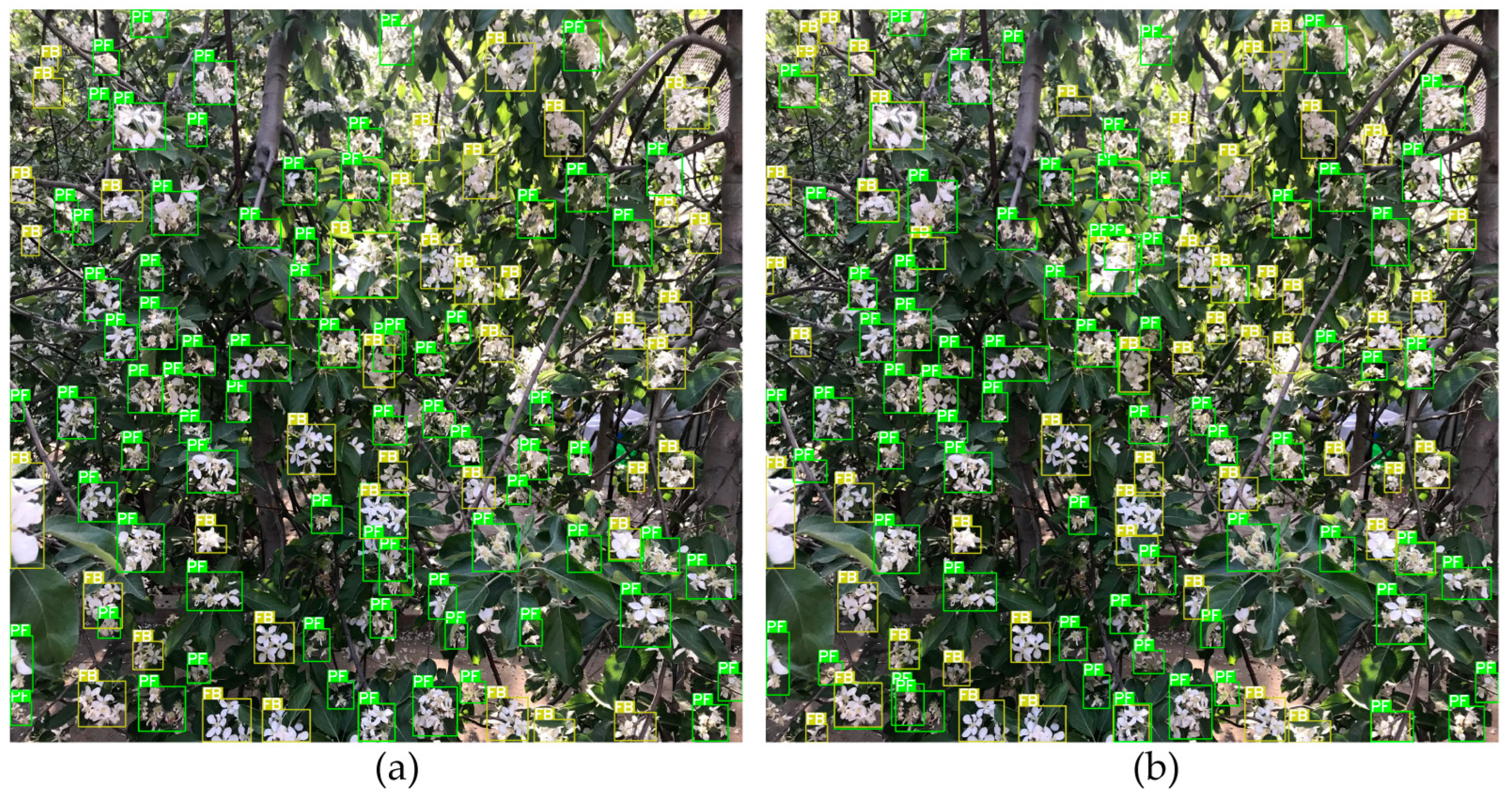 Agronomy 12 02483 g015 Agronomy 12 02483 g015