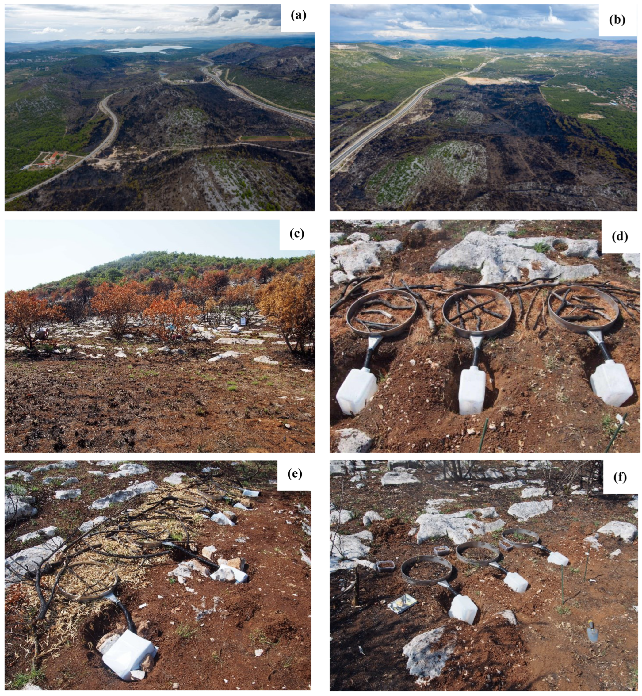 Agronomy 12 02484 g002 Agronomy 12 02484 g002