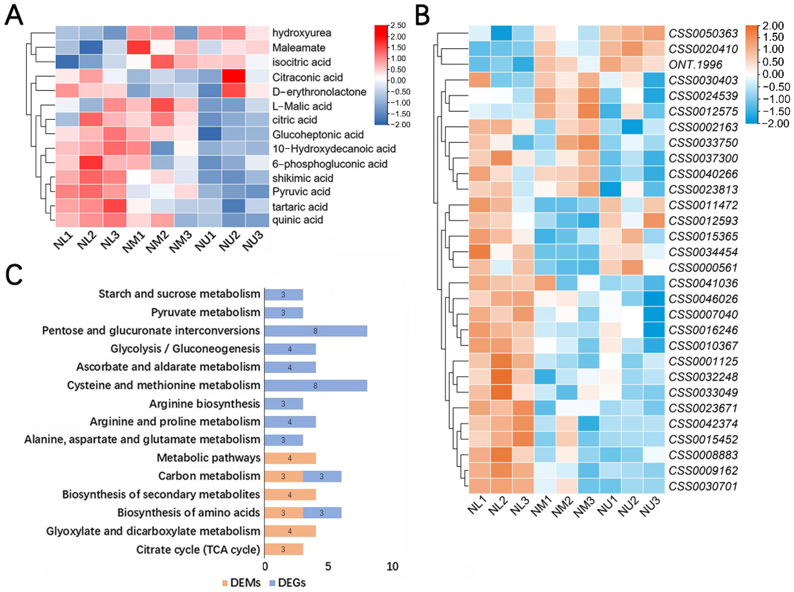 Agronomy 12 02486 g005