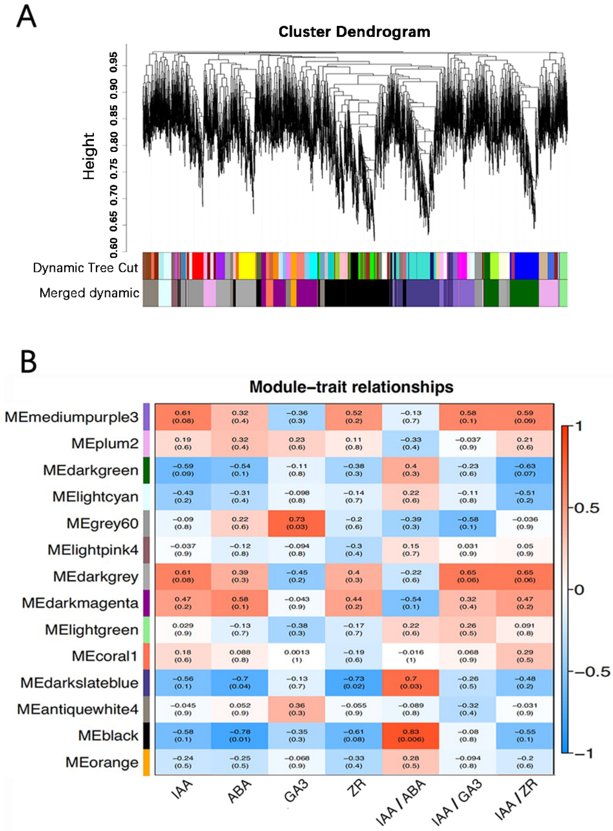 Agronomy 12 02486 g007