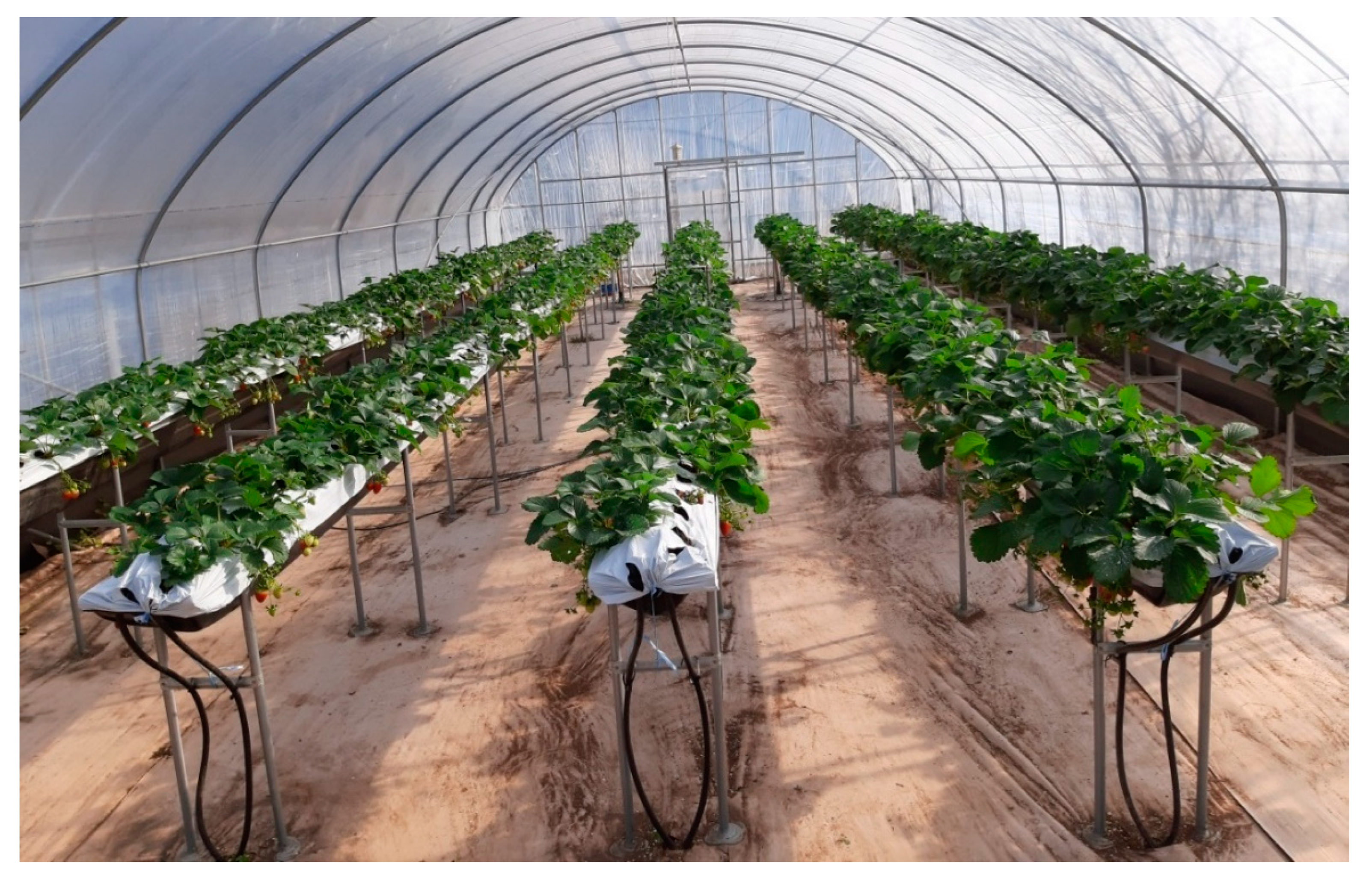 Agronomy 12 02487 g001 Agronomy 12 02487 g001