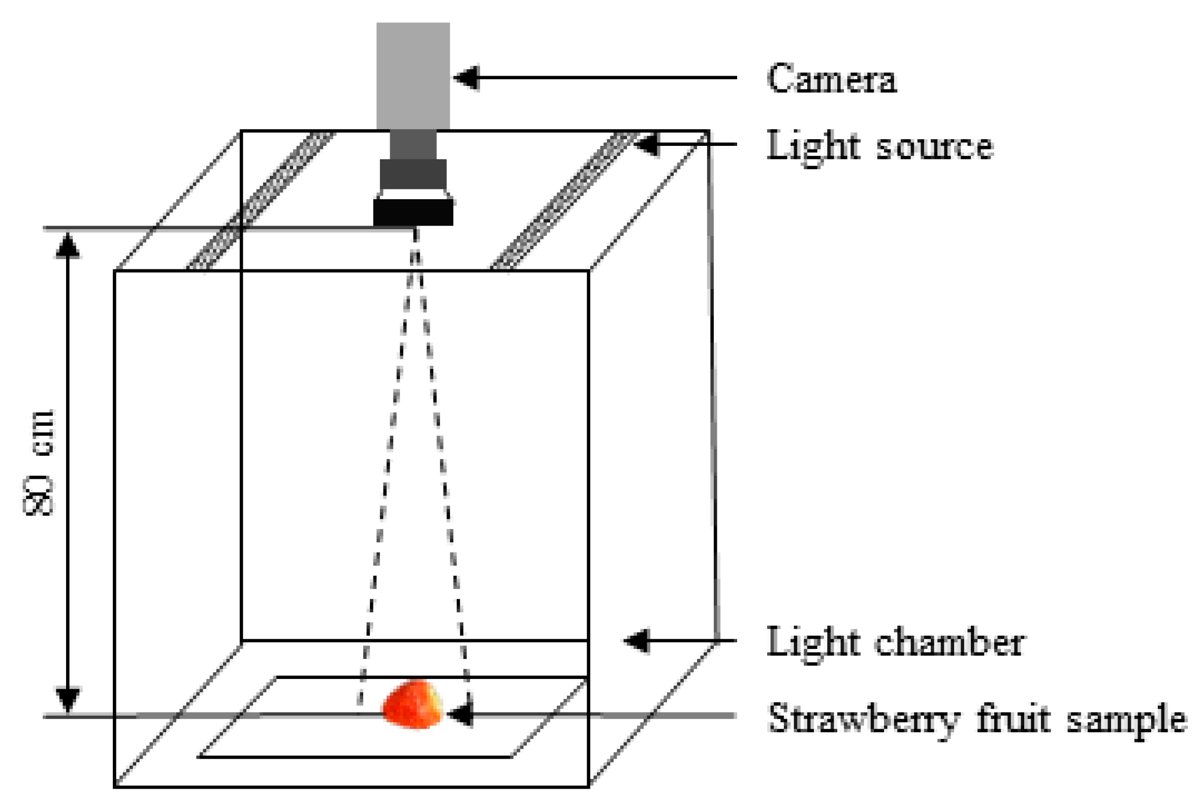 Agronomy 12 02487 g002 Agronomy 12 02487 g002