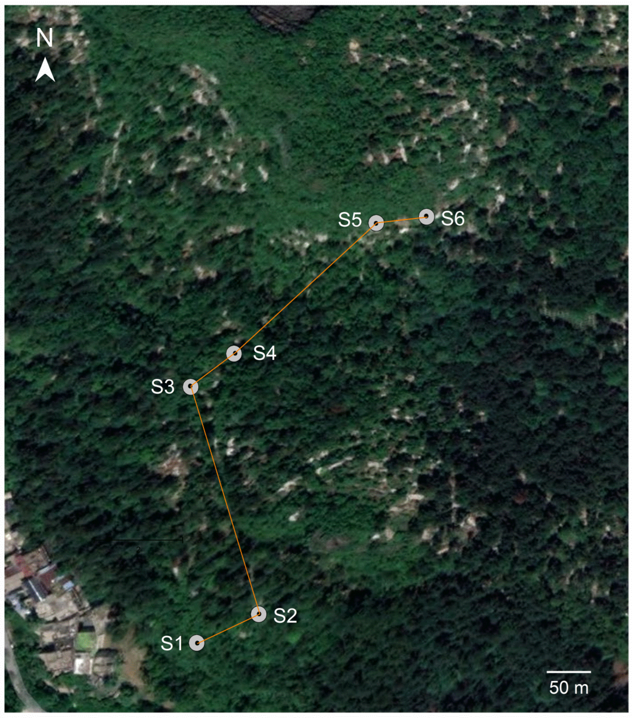 Agronomy 12 02489 g001 Agronomy 12 02489 g001