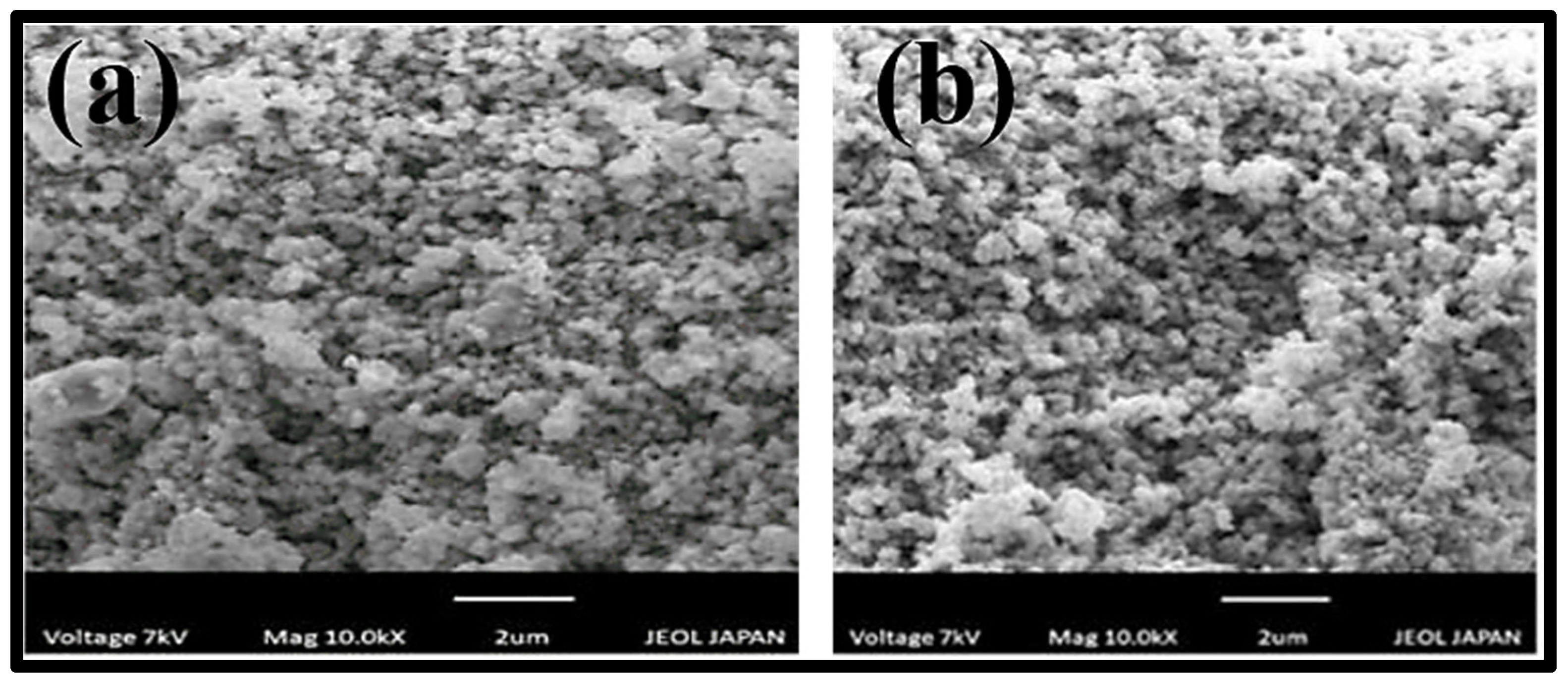 Agronomy 12 02505 g004 Agronomy 12 02505 g004