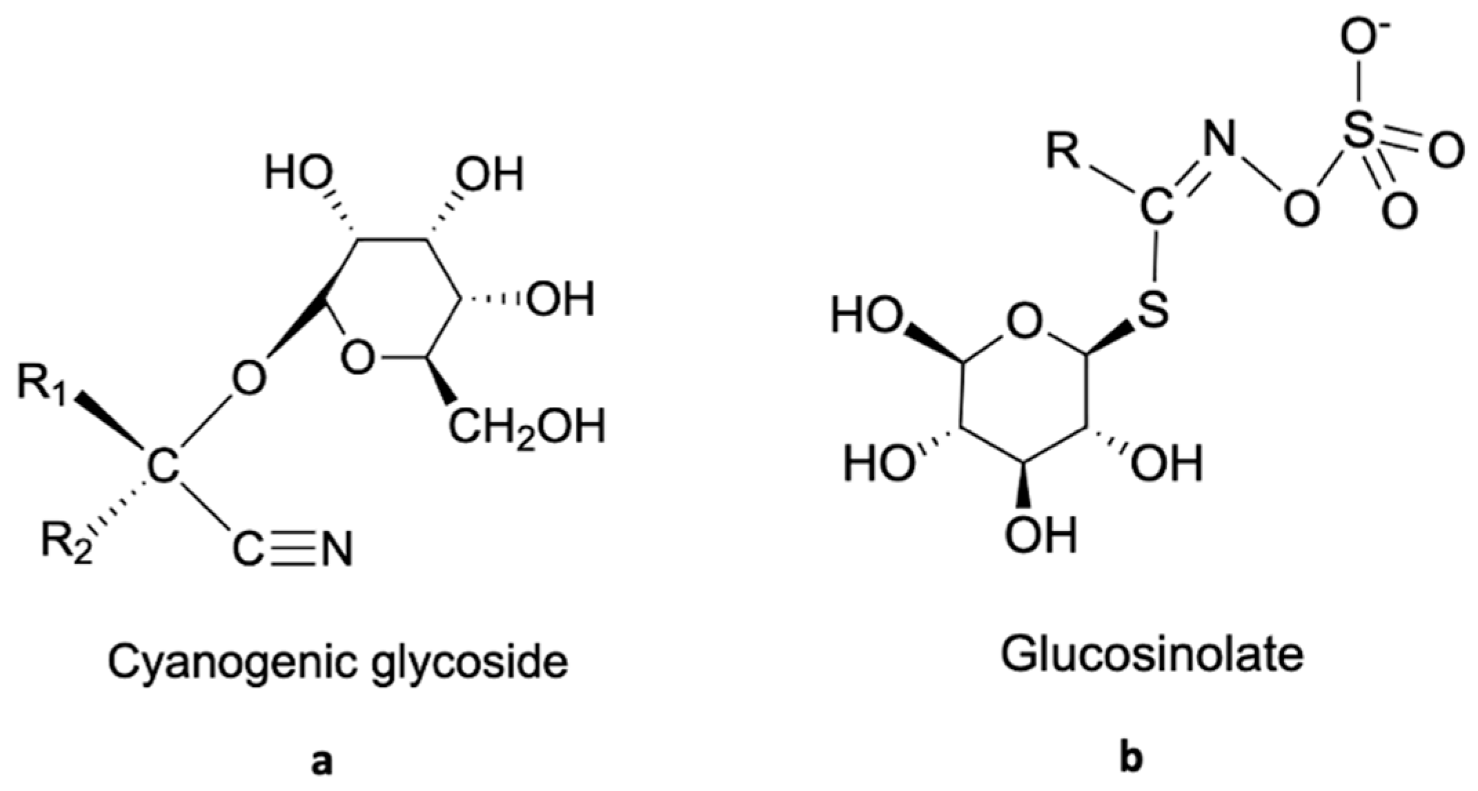 Agronomy Free Full Text Understanding The Complex Functional Interplay Between Glucosinolates And Cyanogenic Glycosides In Carica Papaya