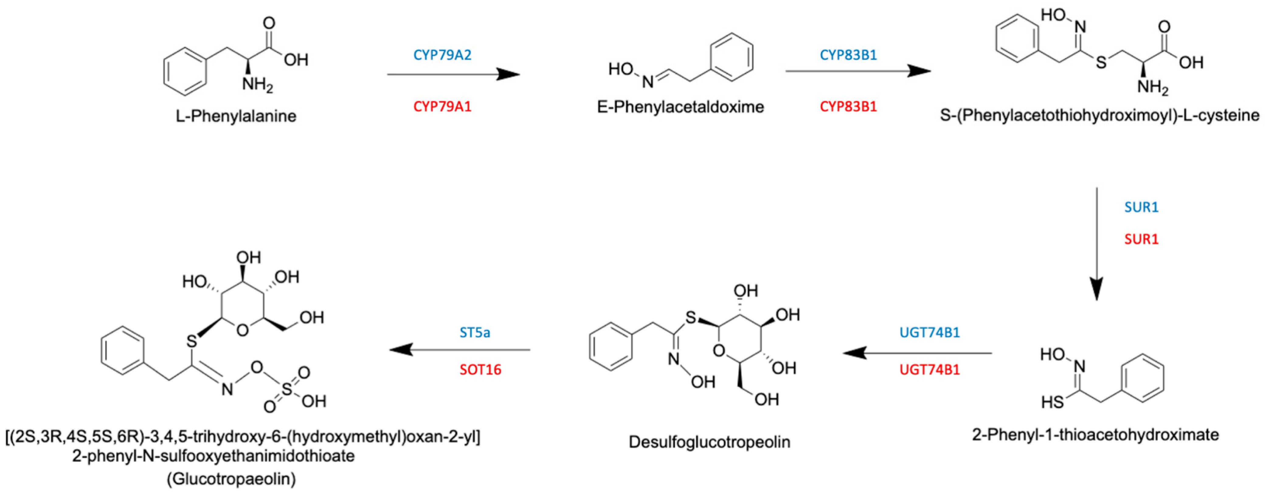 Agronomy 12 02508 g002 Agronomy 12 02508 g002