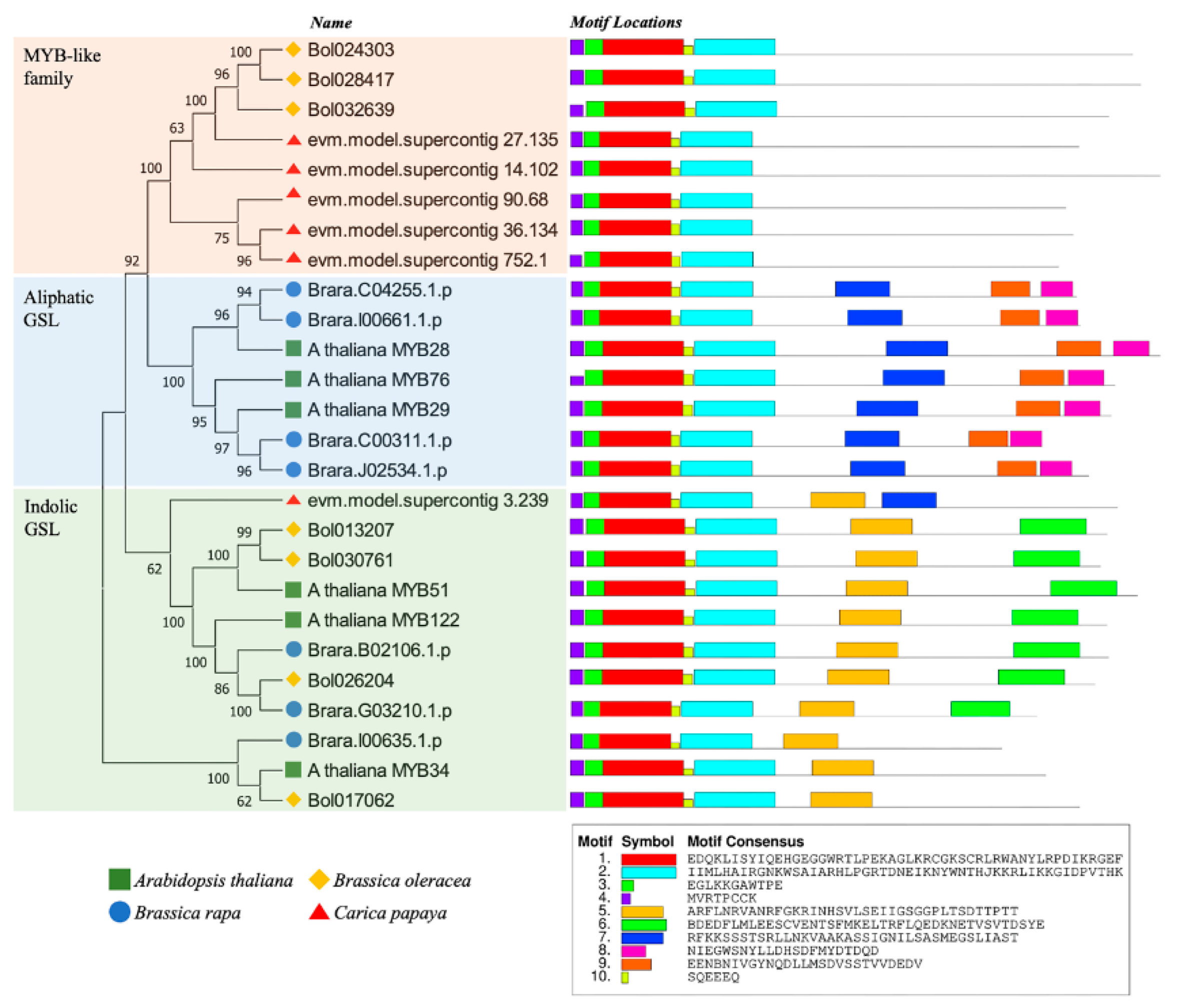 Agronomy 12 02508 g003 Agronomy 12 02508 g003