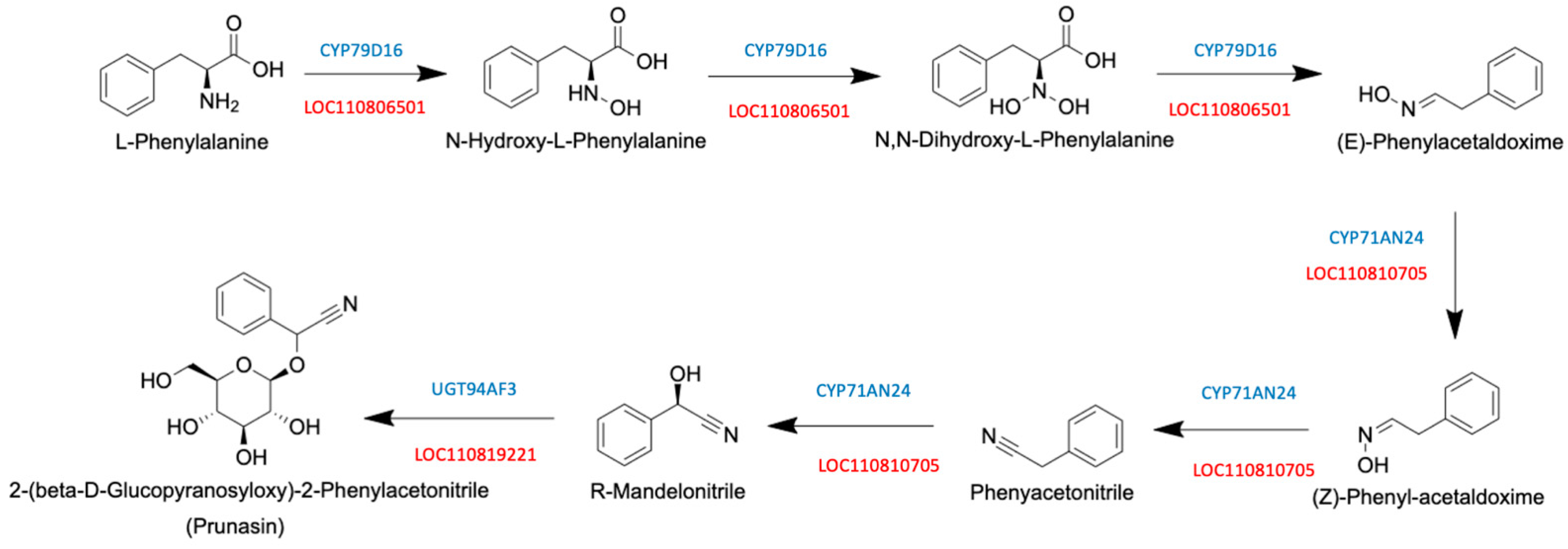 Agronomy 12 02508 g005 Agronomy 12 02508 g005