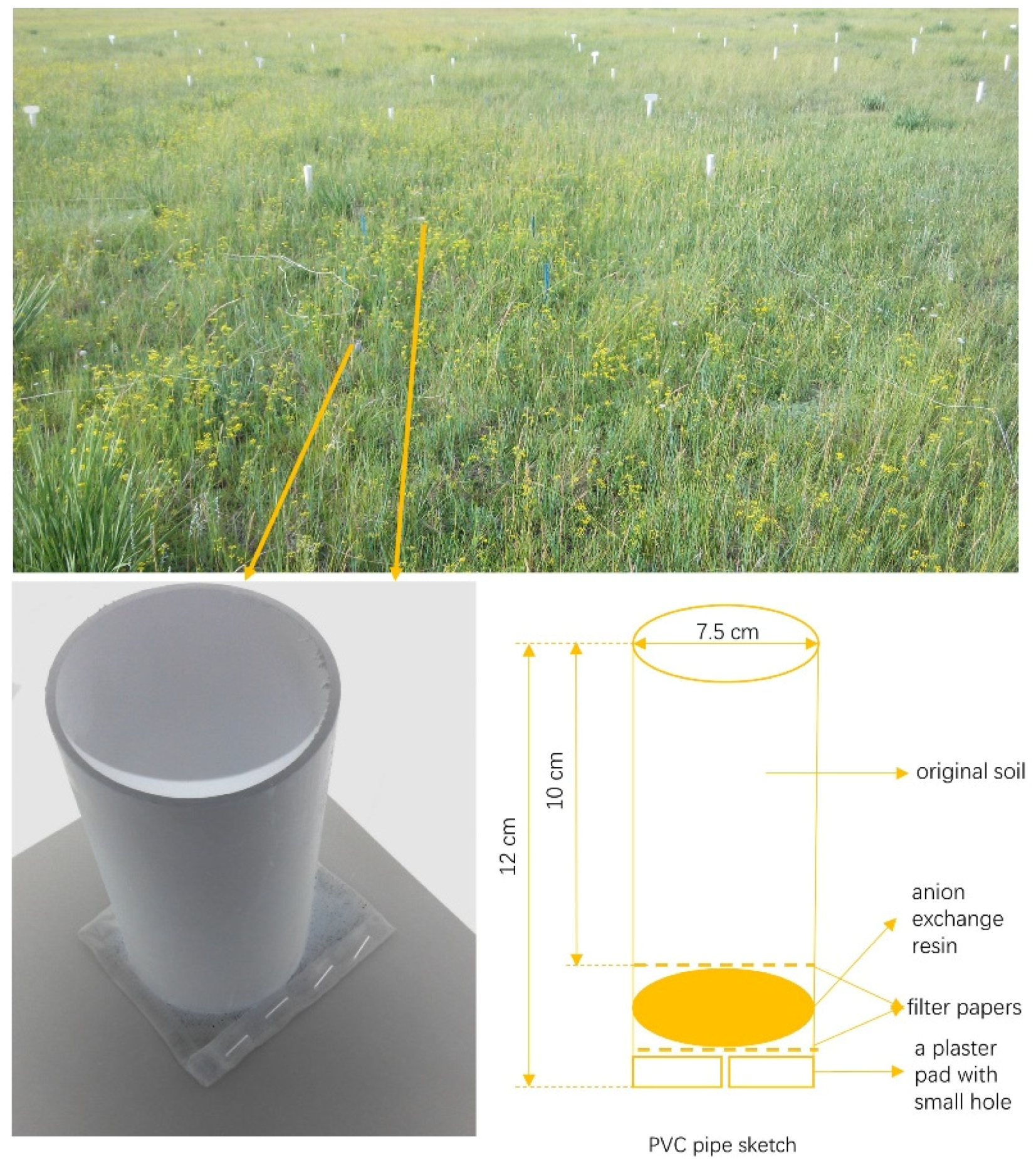 Agronomy 12 02515 g001