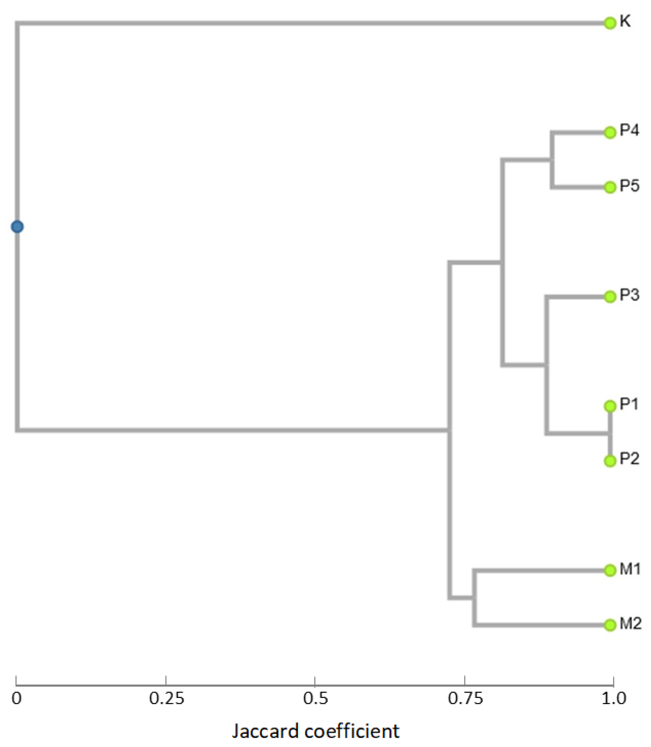 Agronomy 12 02520 g005