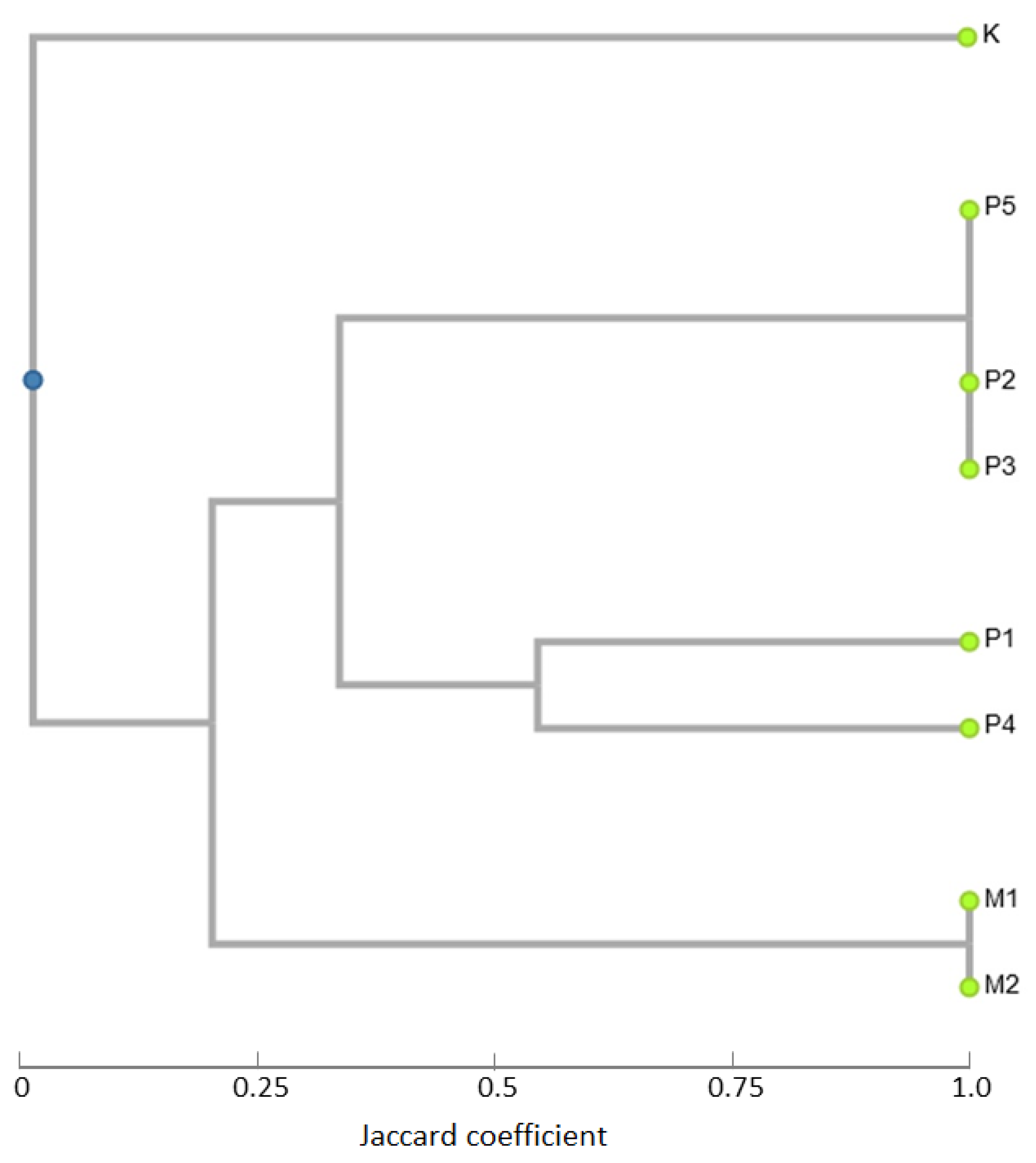 Agronomy 12 02520 g006