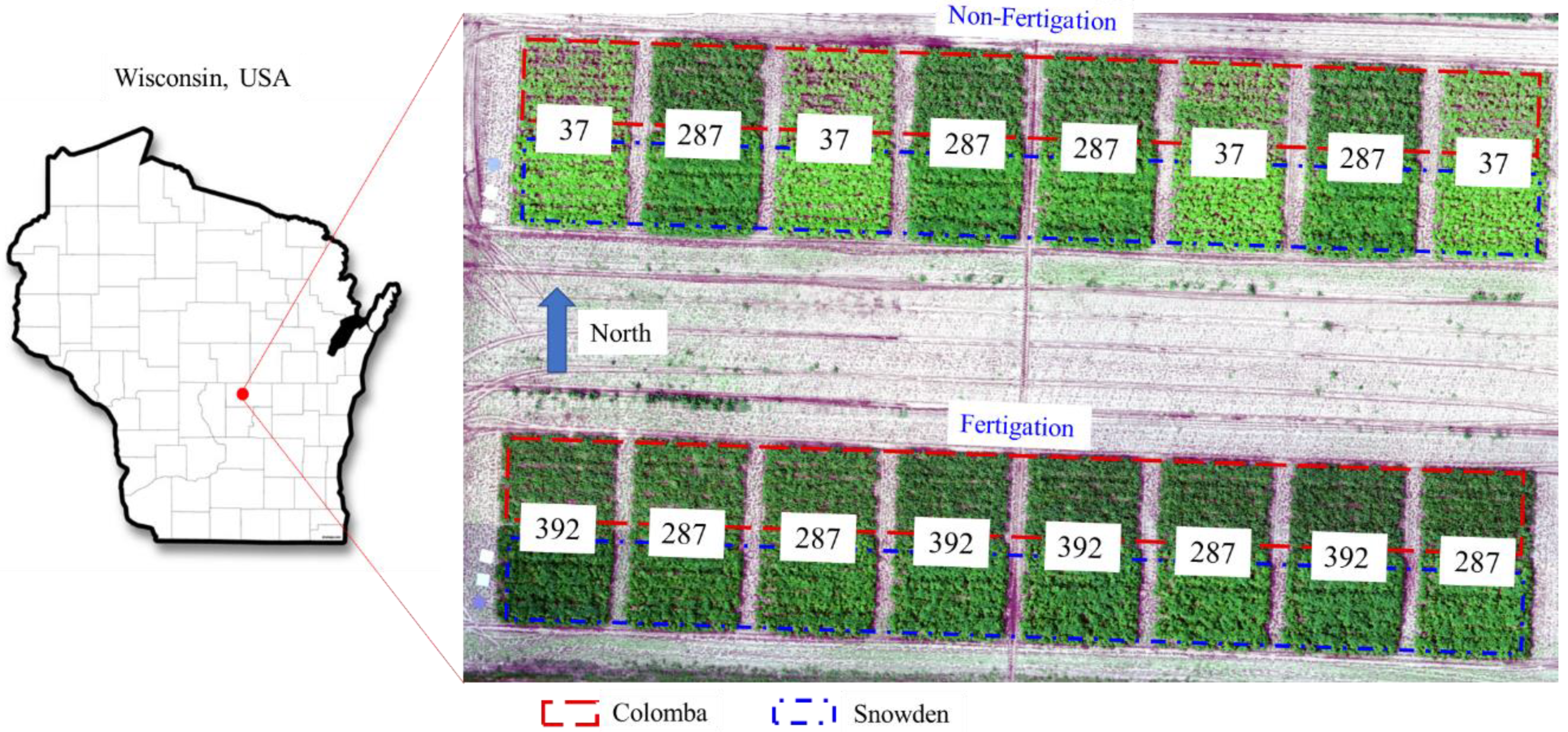 Agronomy 12 02533 g001 Agronomy 12 02533 g001