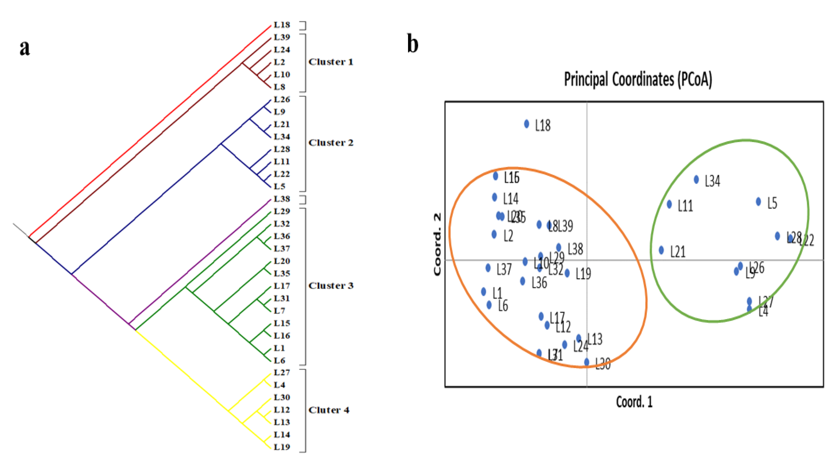 Agronomy 12 02534 g003 Agronomy 12 02534 g003