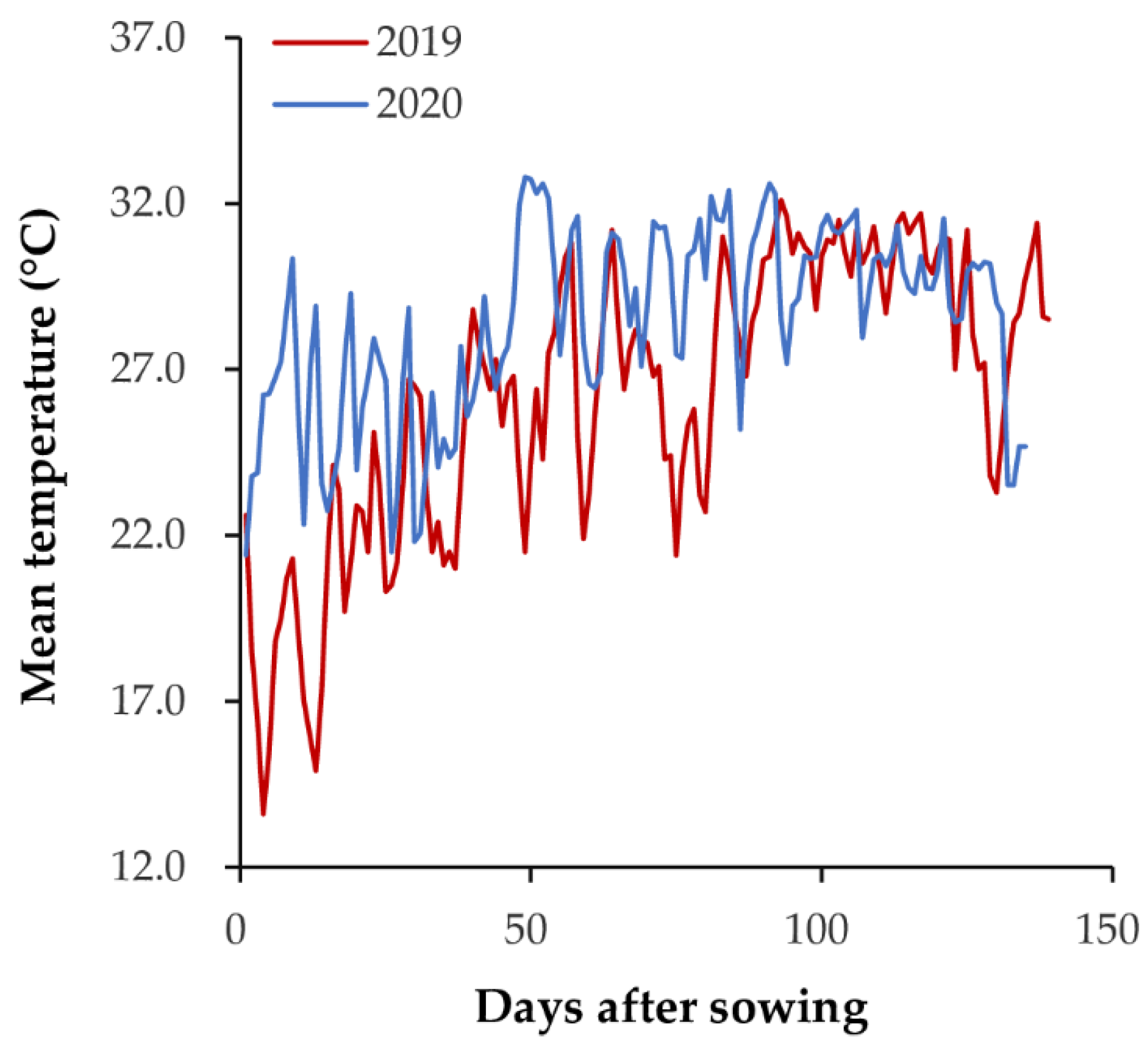 One-thousand grain weight and grain yield of 26 hybrids rice grown