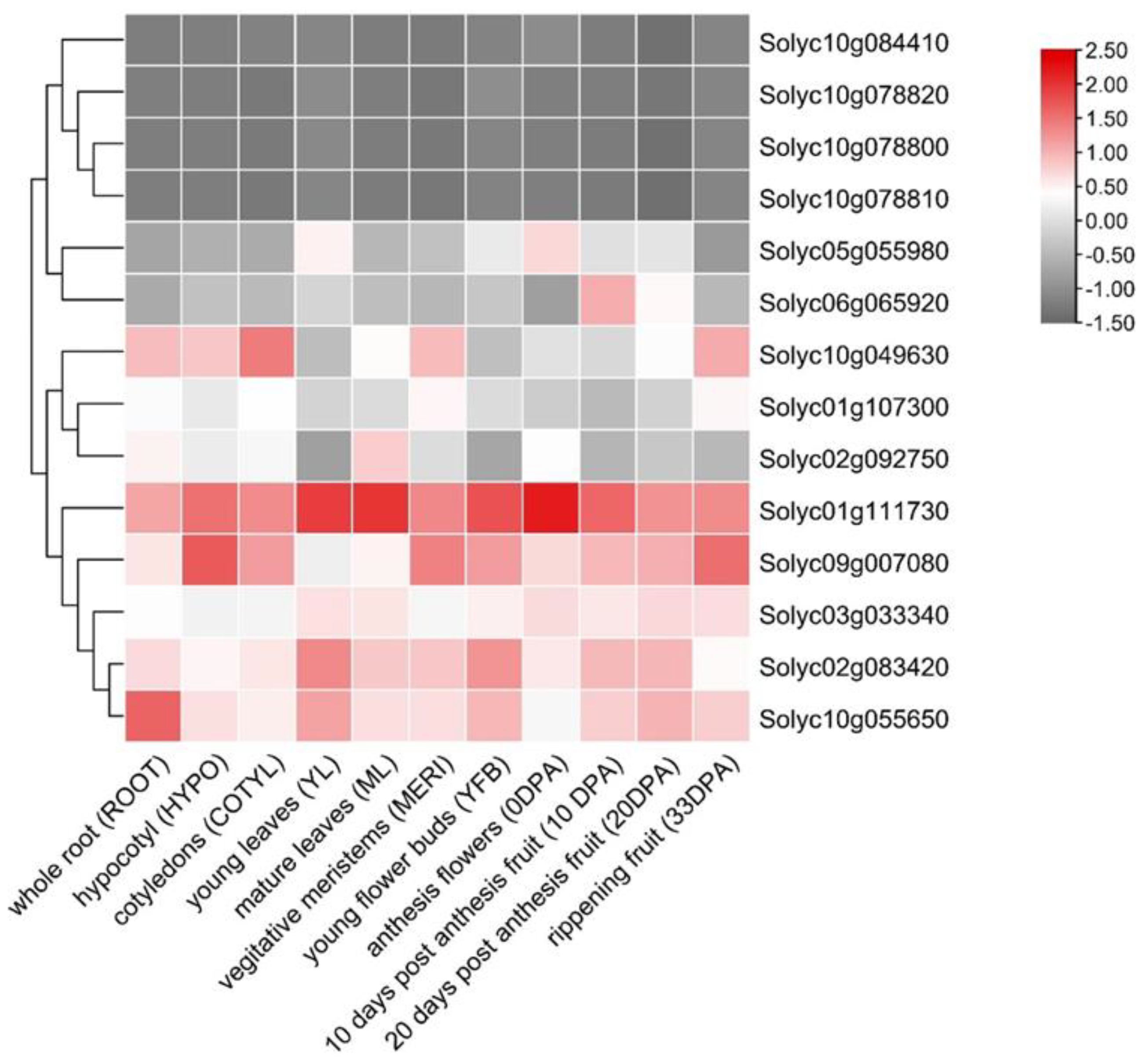 Agronomy 12 02542 g003 Agronomy 12 02542 g003