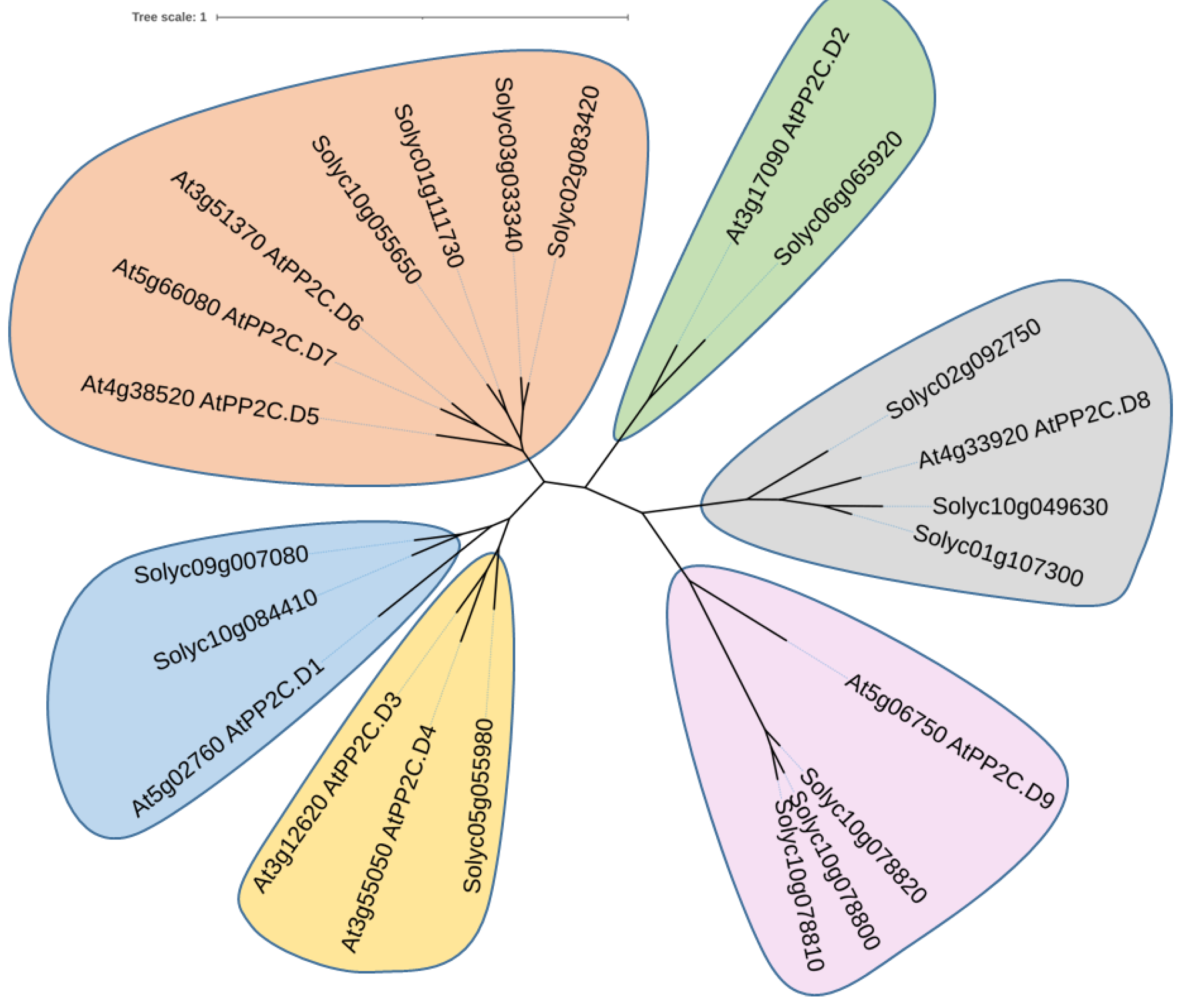 Agronomy 12 02542 g004 Agronomy 12 02542 g004