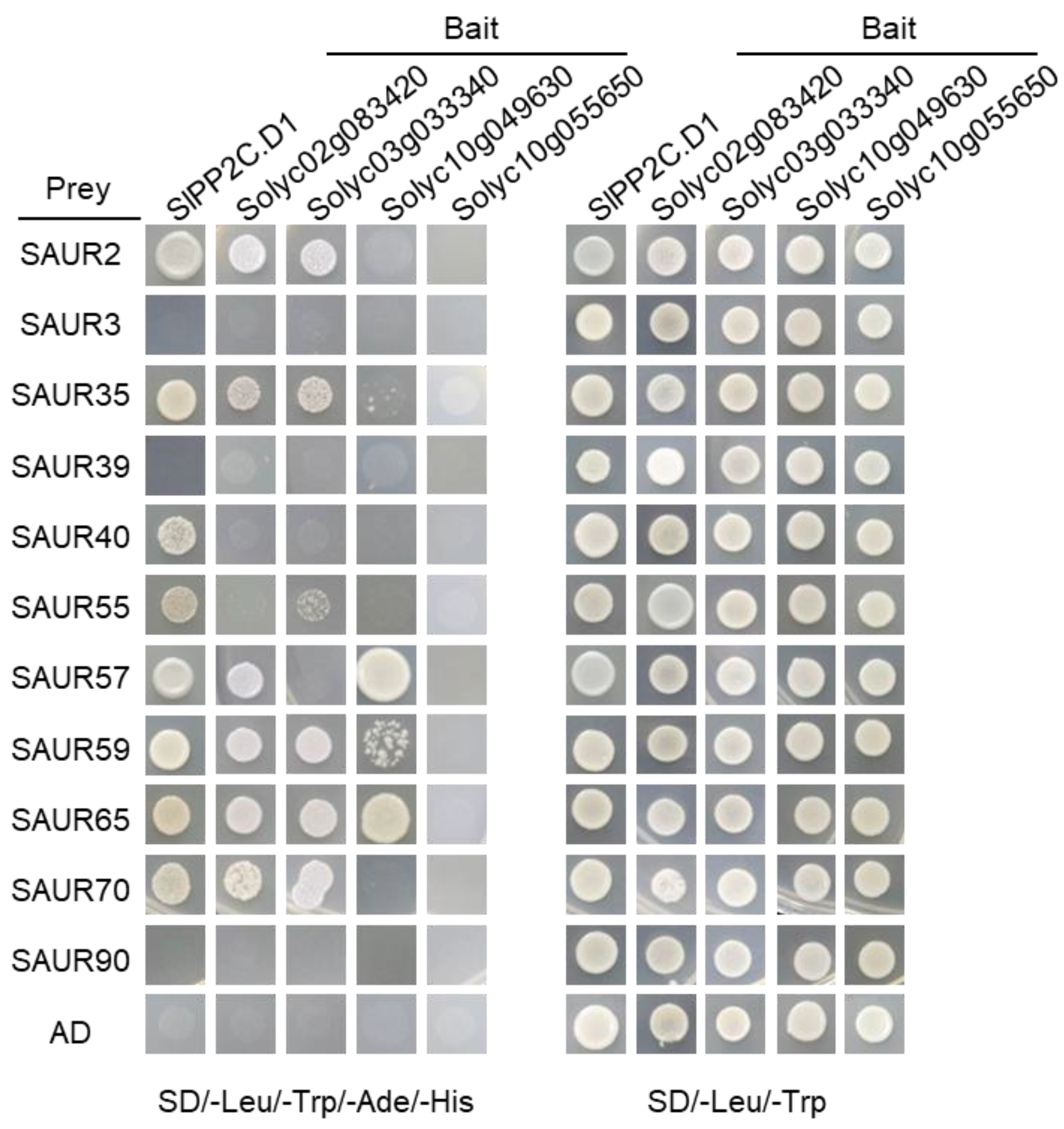 Agronomy 12 02542 g006 Agronomy 12 02542 g006