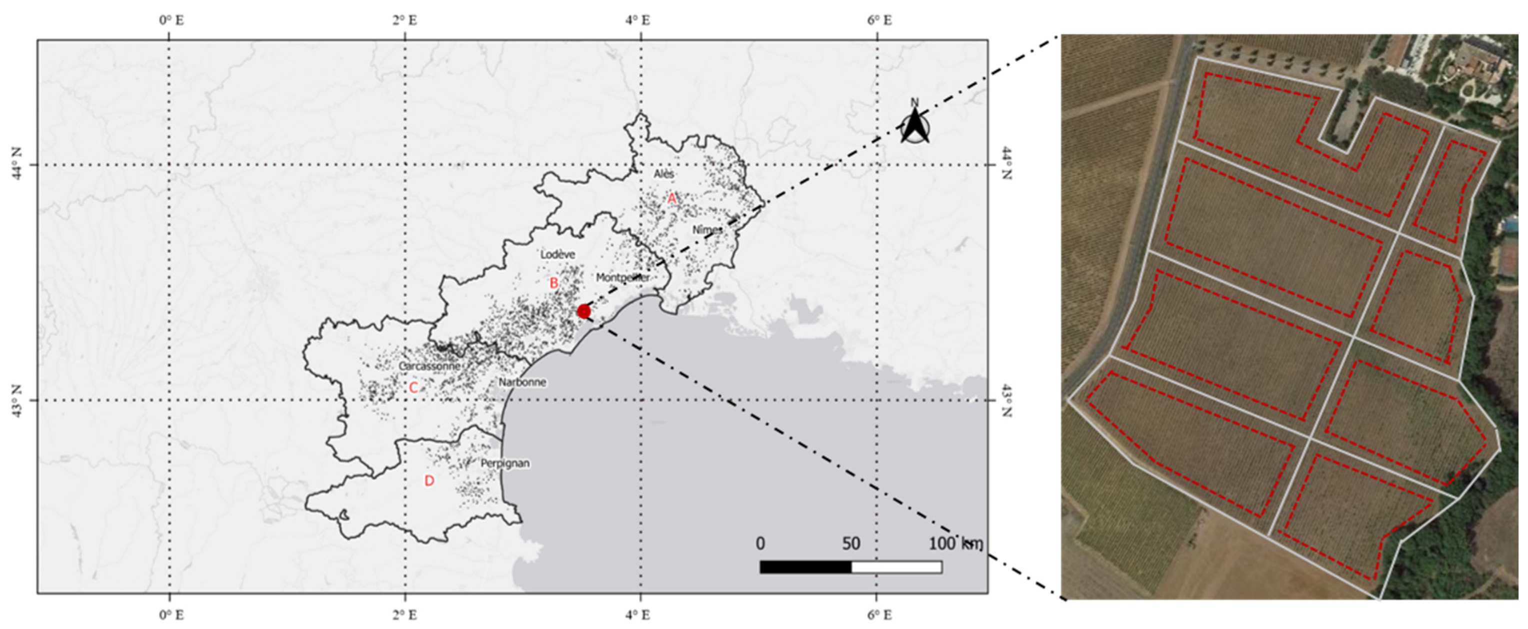 Agronomy 12 02544 g002