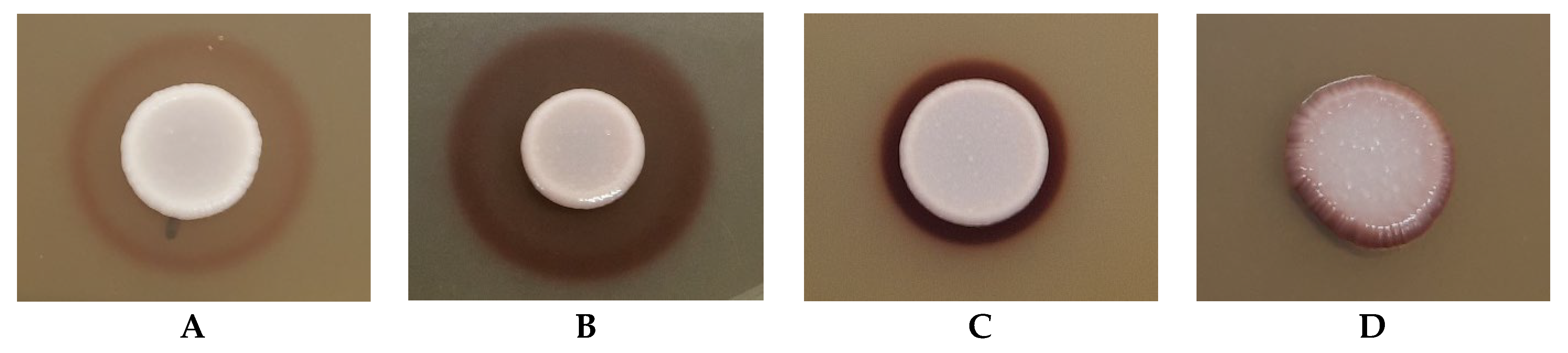 Agronomy 12 02546 g002