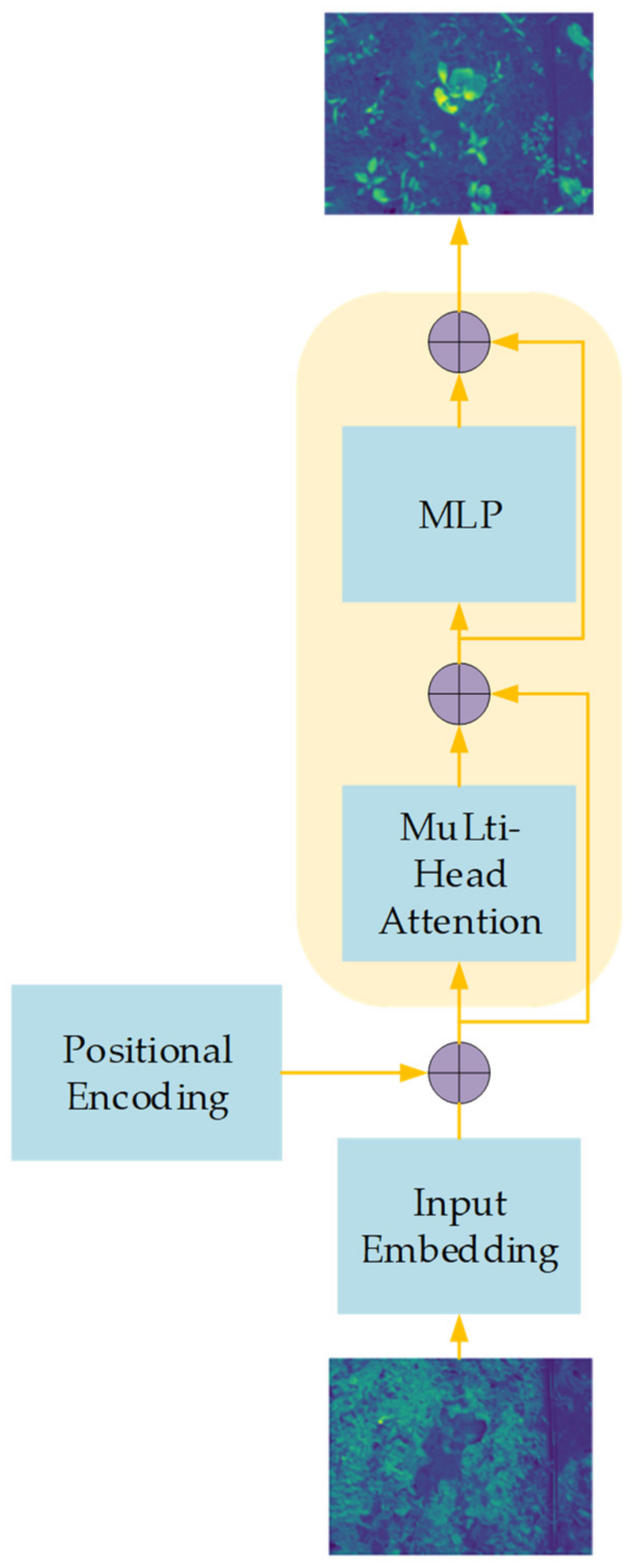 Agronomy 12 02551 g001 Agronomy 12 02551 g001