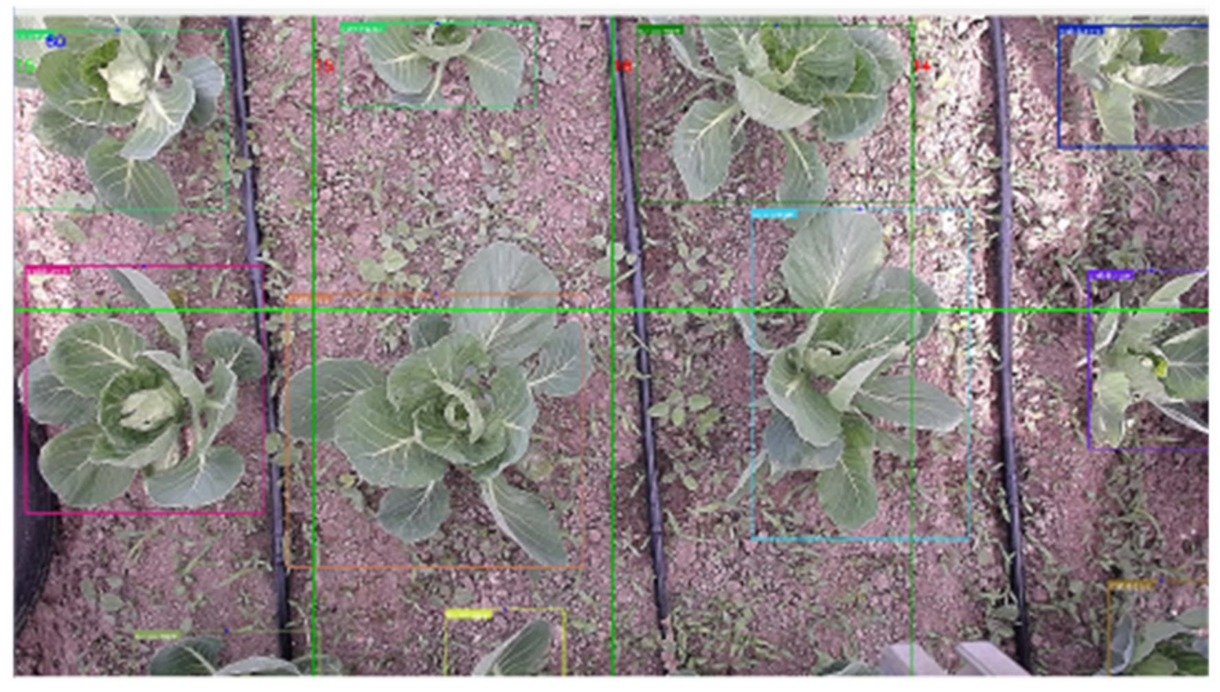 Agronomy 12 02551 g003 Agronomy 12 02551 g003