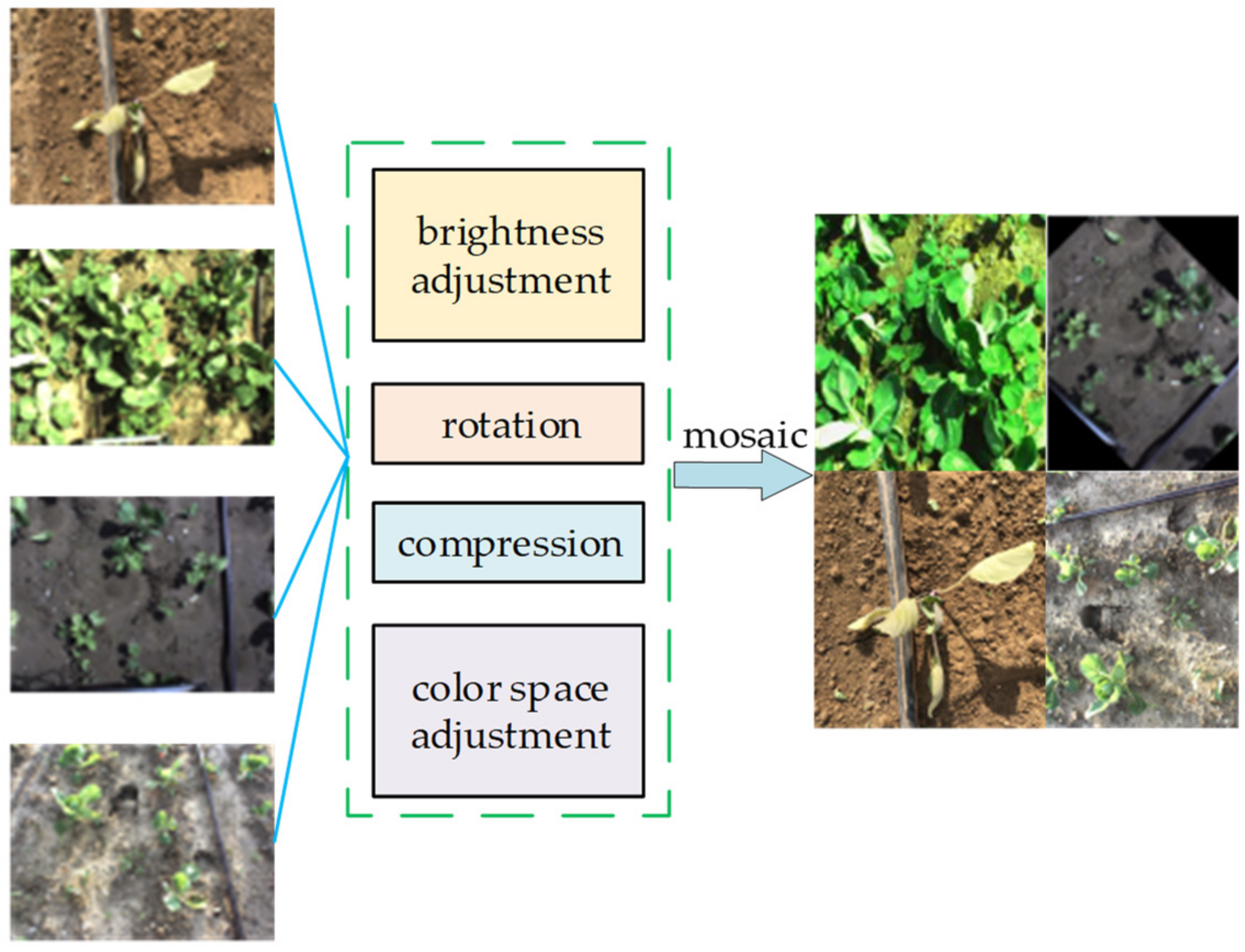 Agronomy 12 02551 g005 Agronomy 12 02551 g005