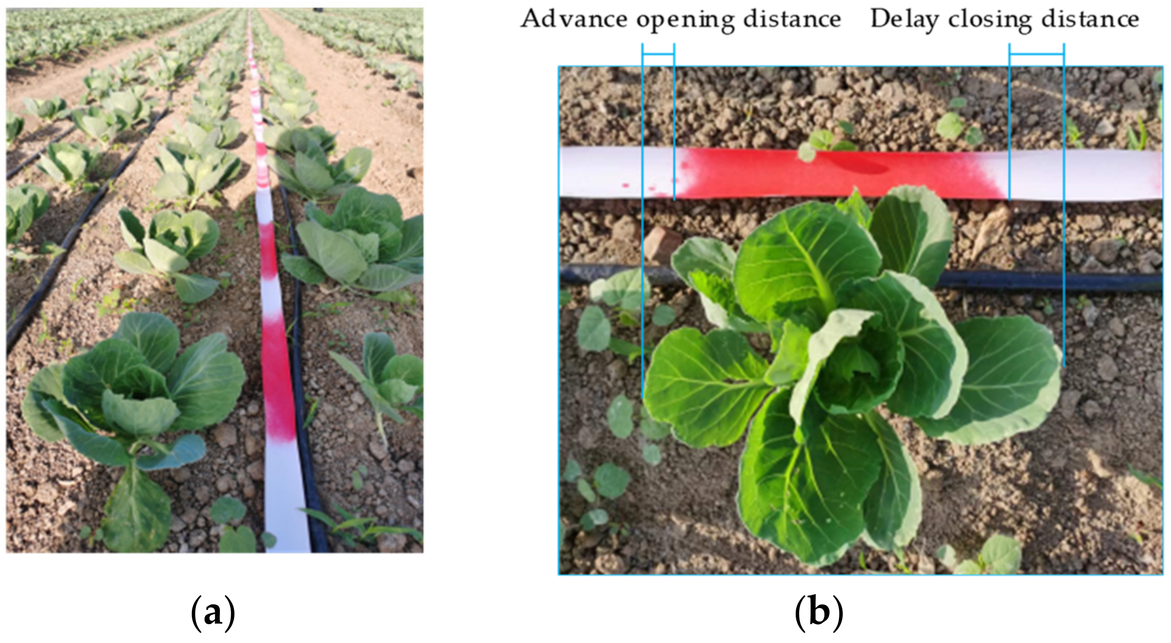 Agronomy 12 02551 g009 Agronomy 12 02551 g009