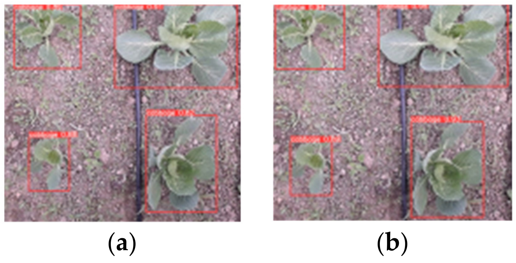 Agronomy 12 02551 g011 Agronomy 12 02551 g011