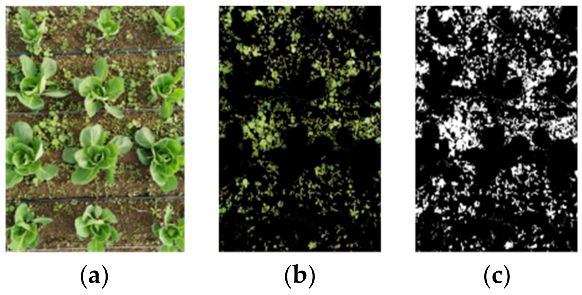 Agronomy 12 02551 g014 Agronomy 12 02551 g014