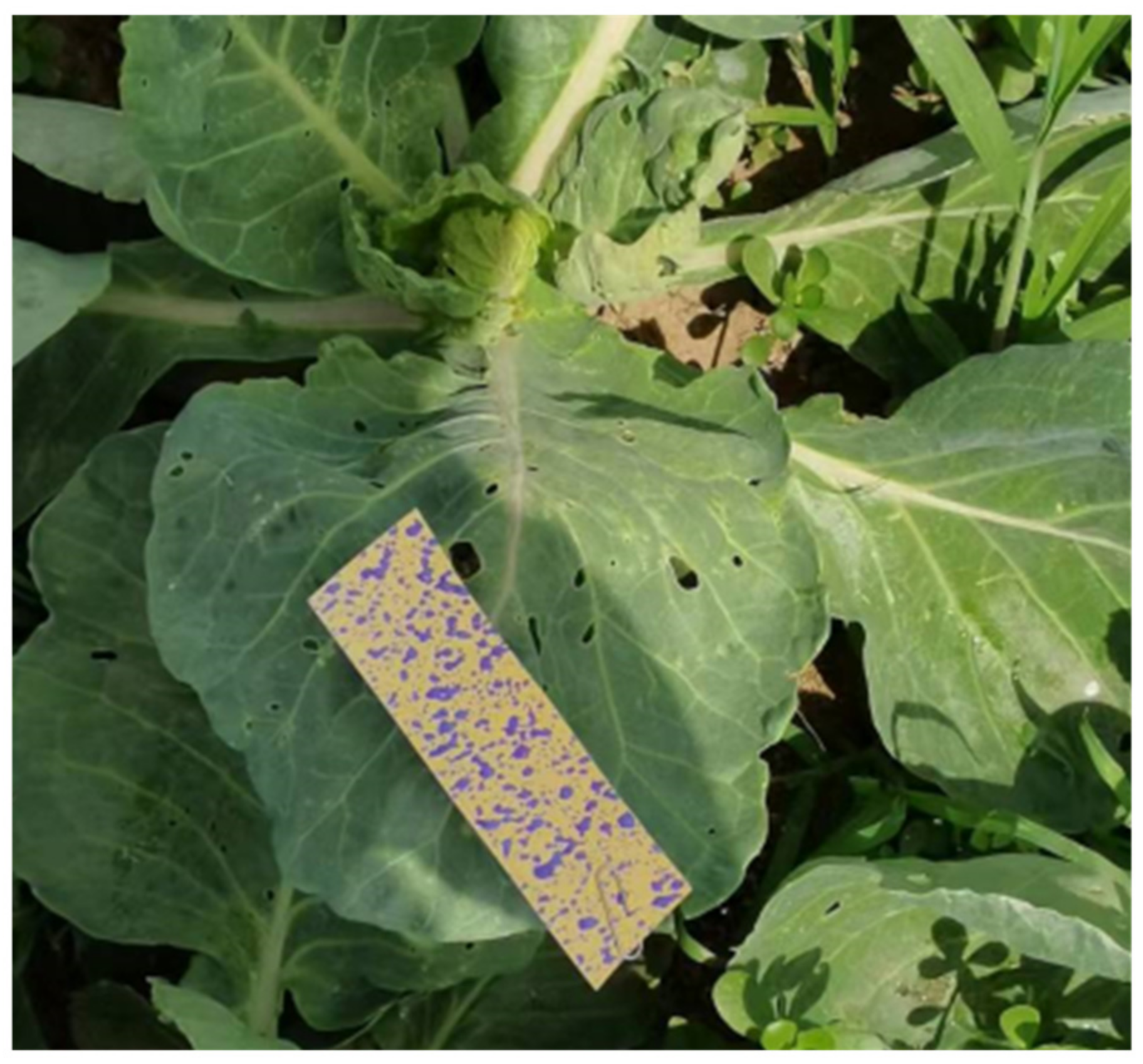 Agronomy 12 02551 g016 Agronomy 12 02551 g016