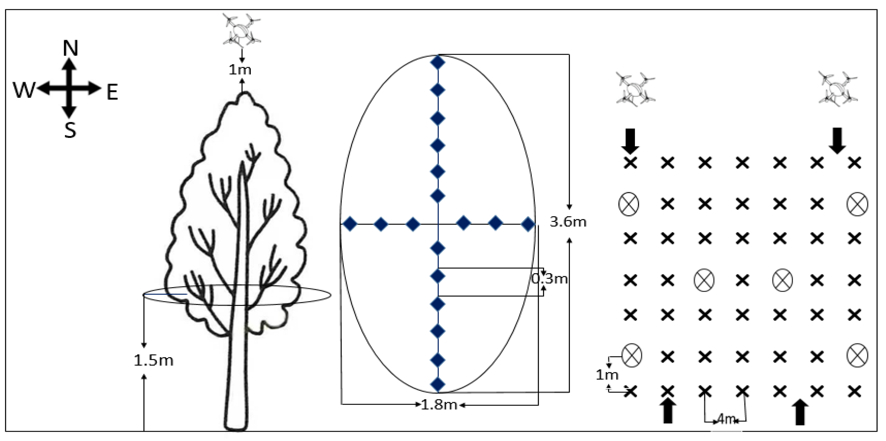 Agronomy 12 02561 g001