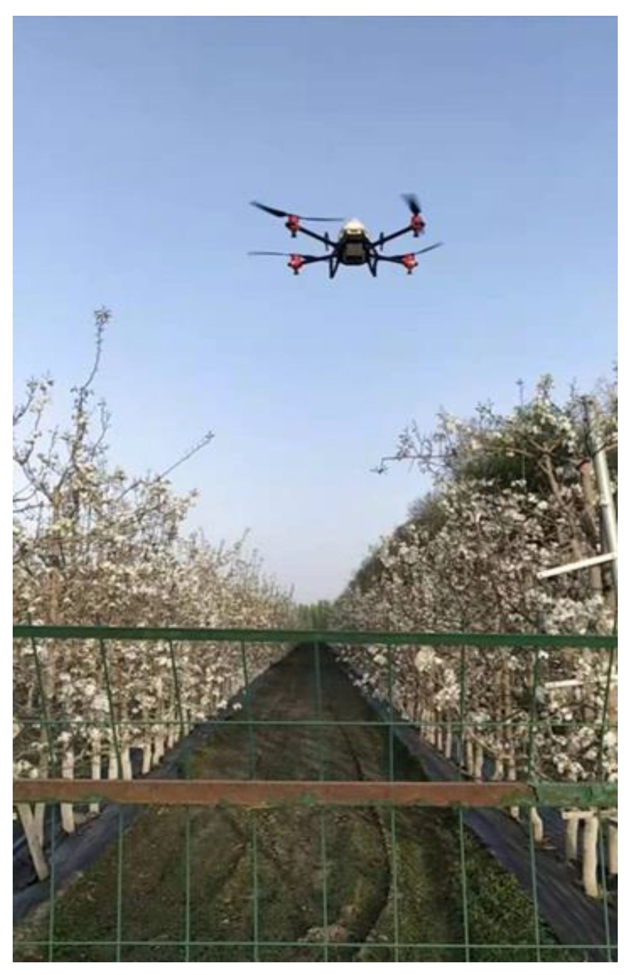 Agronomy 12 02561 g002