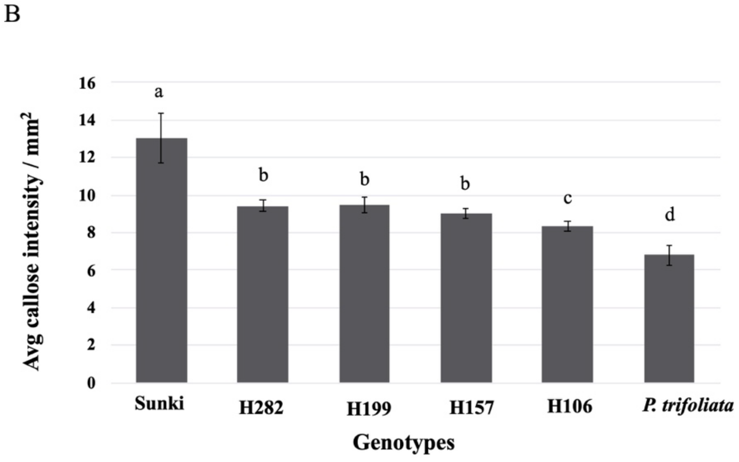 Agronomy 12 02566 g001b Agronomy 12 02566 g001b