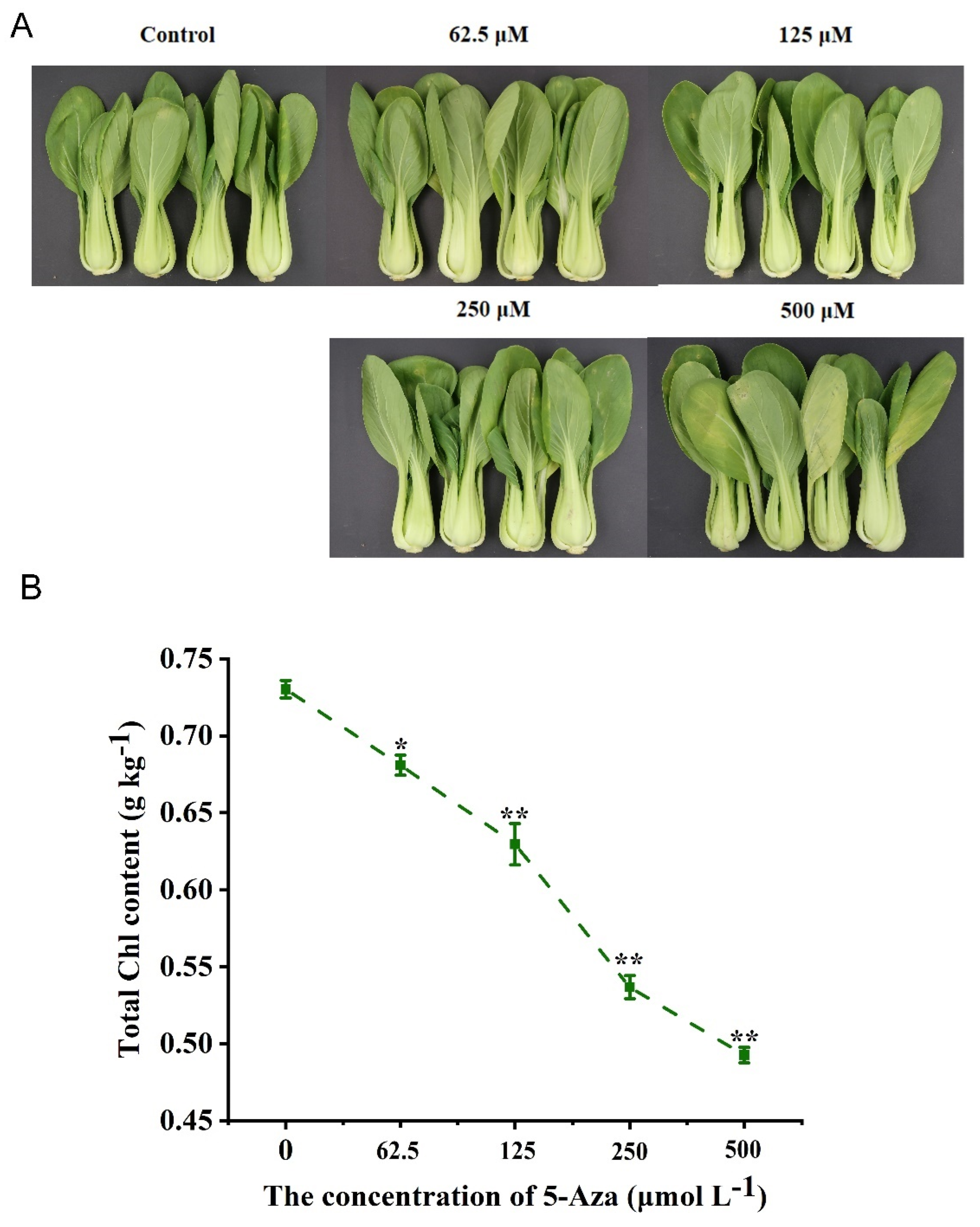 Agronomy 12 02568 g002 Agronomy 12 02568 g002